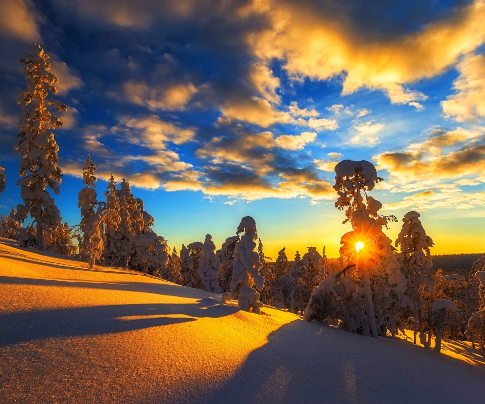 Скачать картинку Зима, Солнце, Снег, Дерево, Земля/природа в телефон бесплатно.