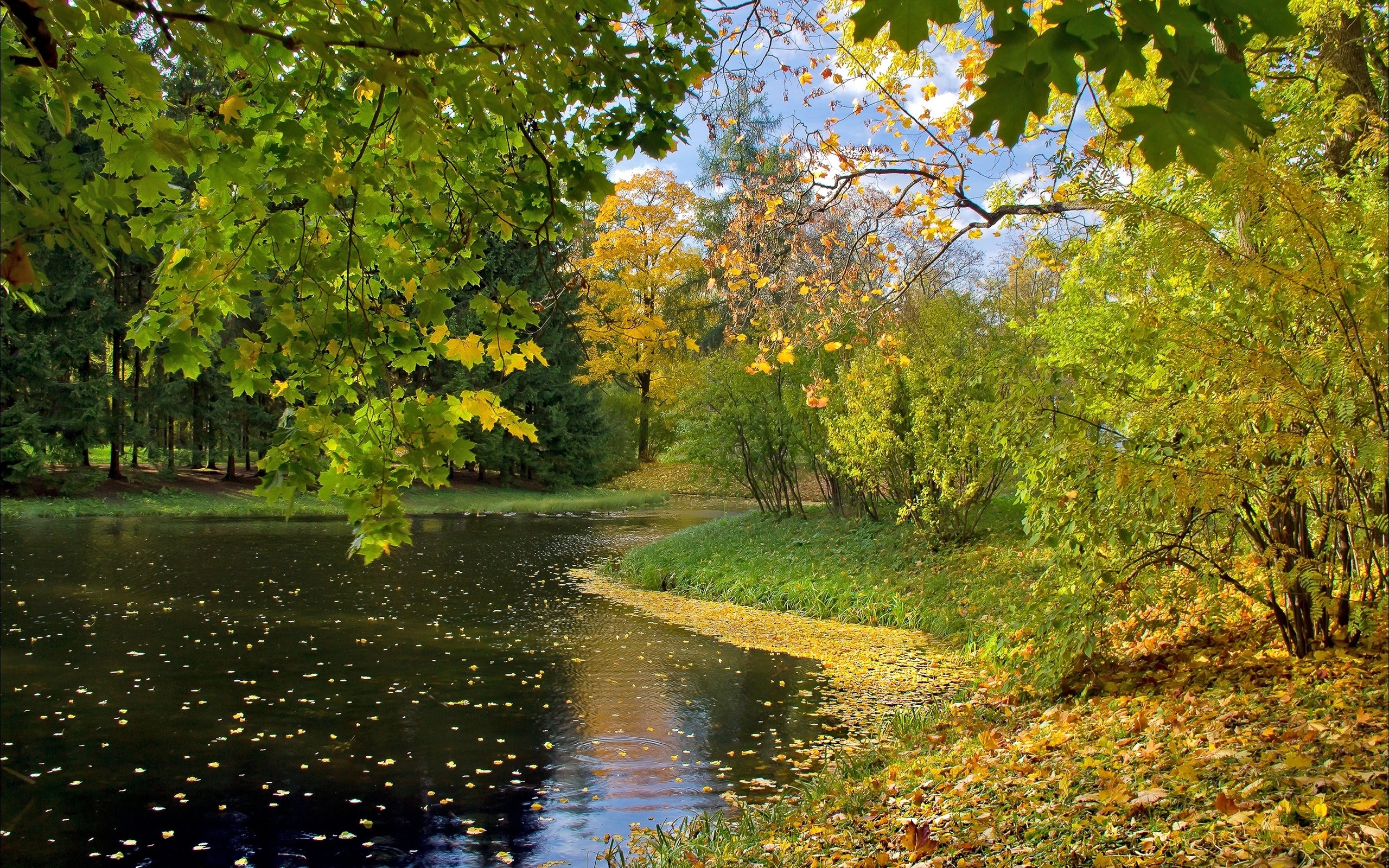 586575 descargar imagen otoño, tierra/naturaleza, lago, parque, estanque, árbol: fondos de pantalla y protectores de pantalla gratis