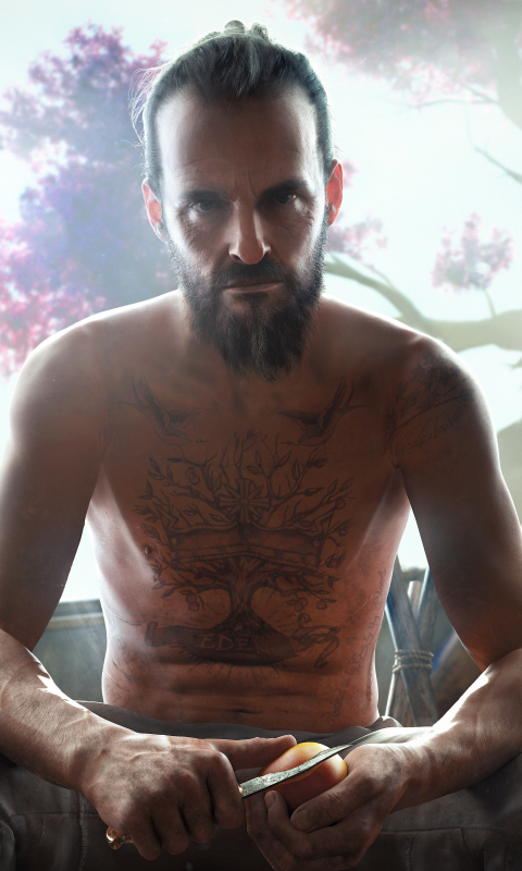 Download mobile wallpaper Video Game, Far Cry, Far Cry New Dawn for free.