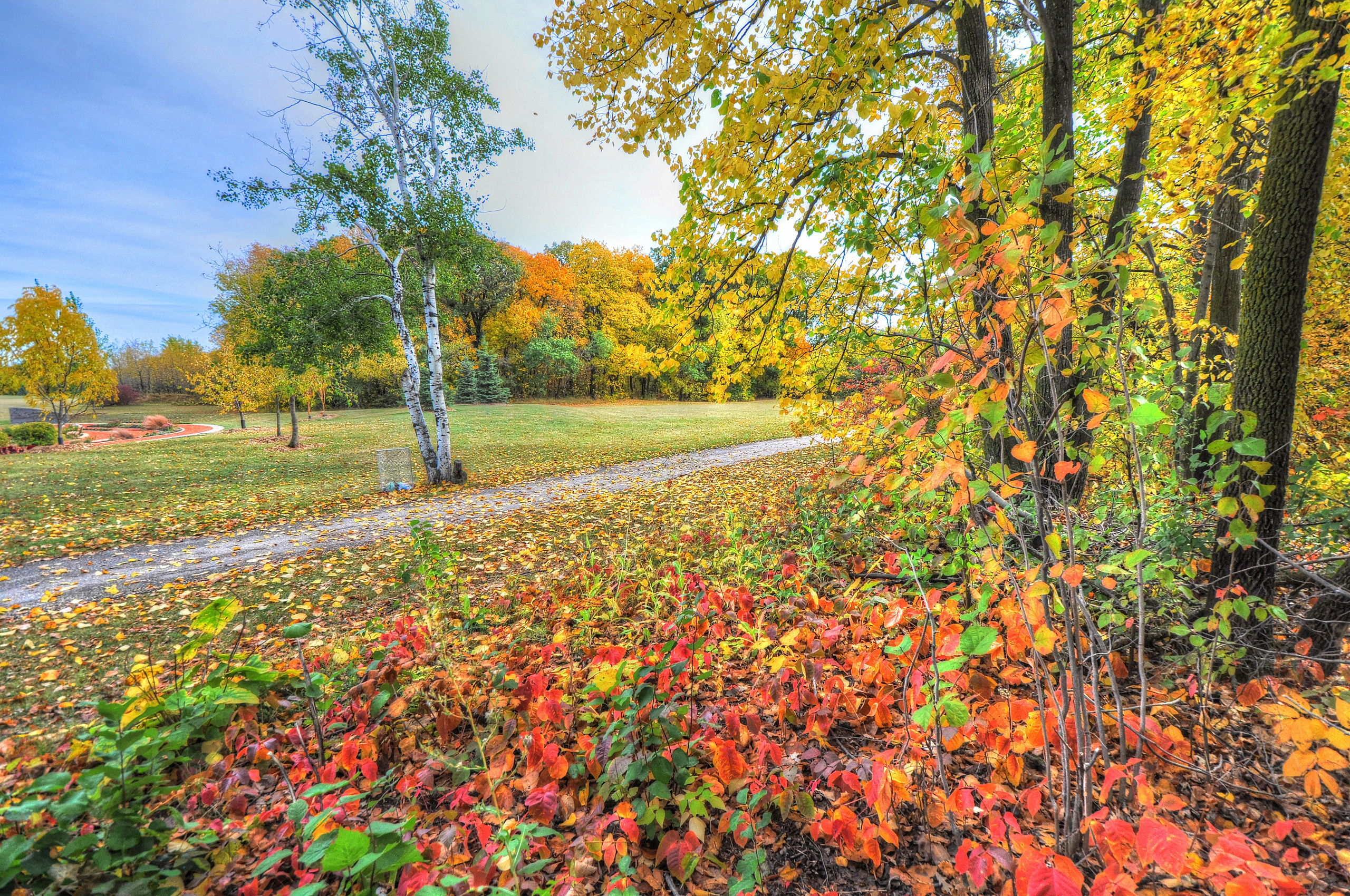 PCデスクトップに自然, 道, パス, 木, 森林, 森, 秋画像を無料でダウンロード