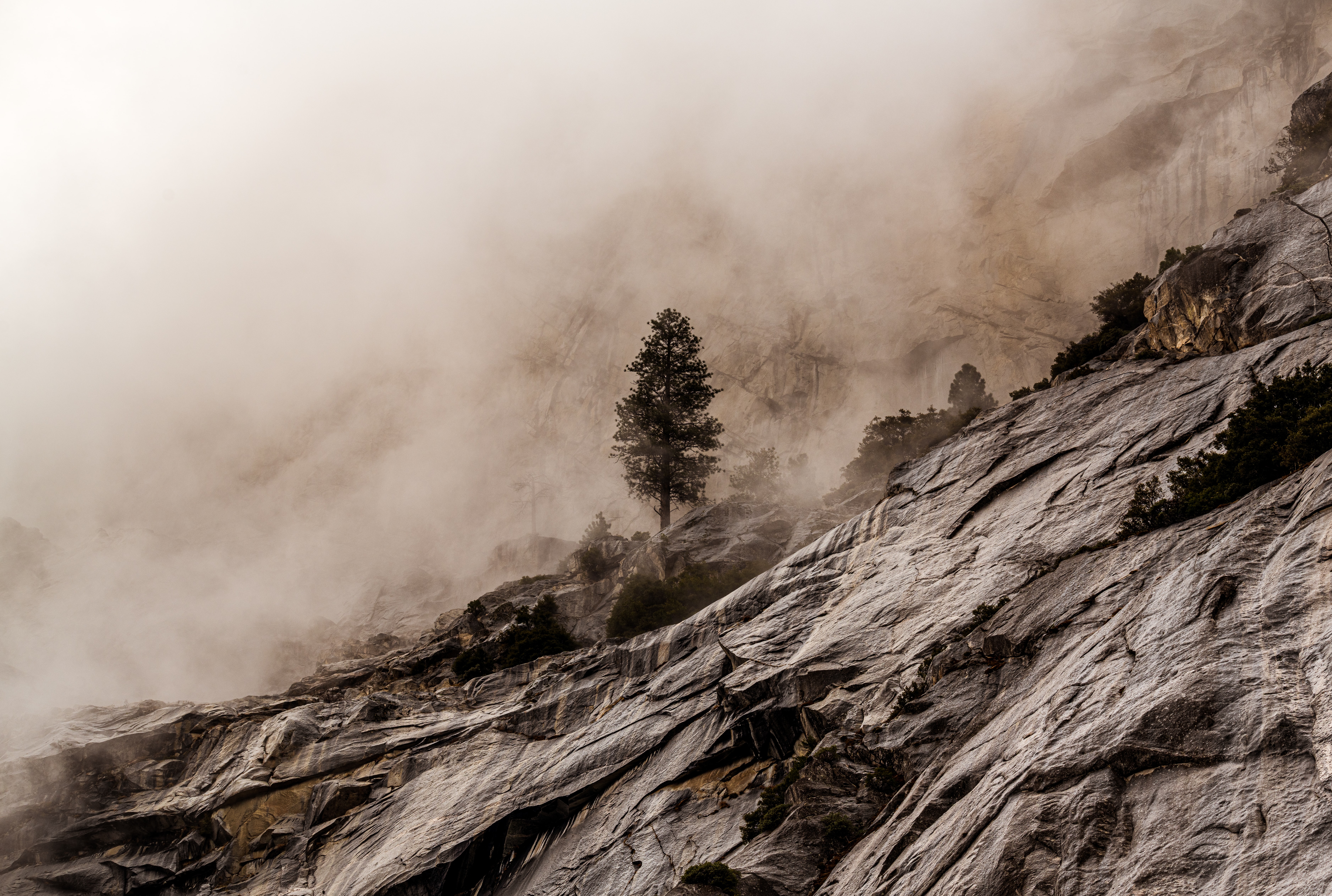 stone, nature, stones, rocks, wood, tree, fog Panoramic Wallpaper