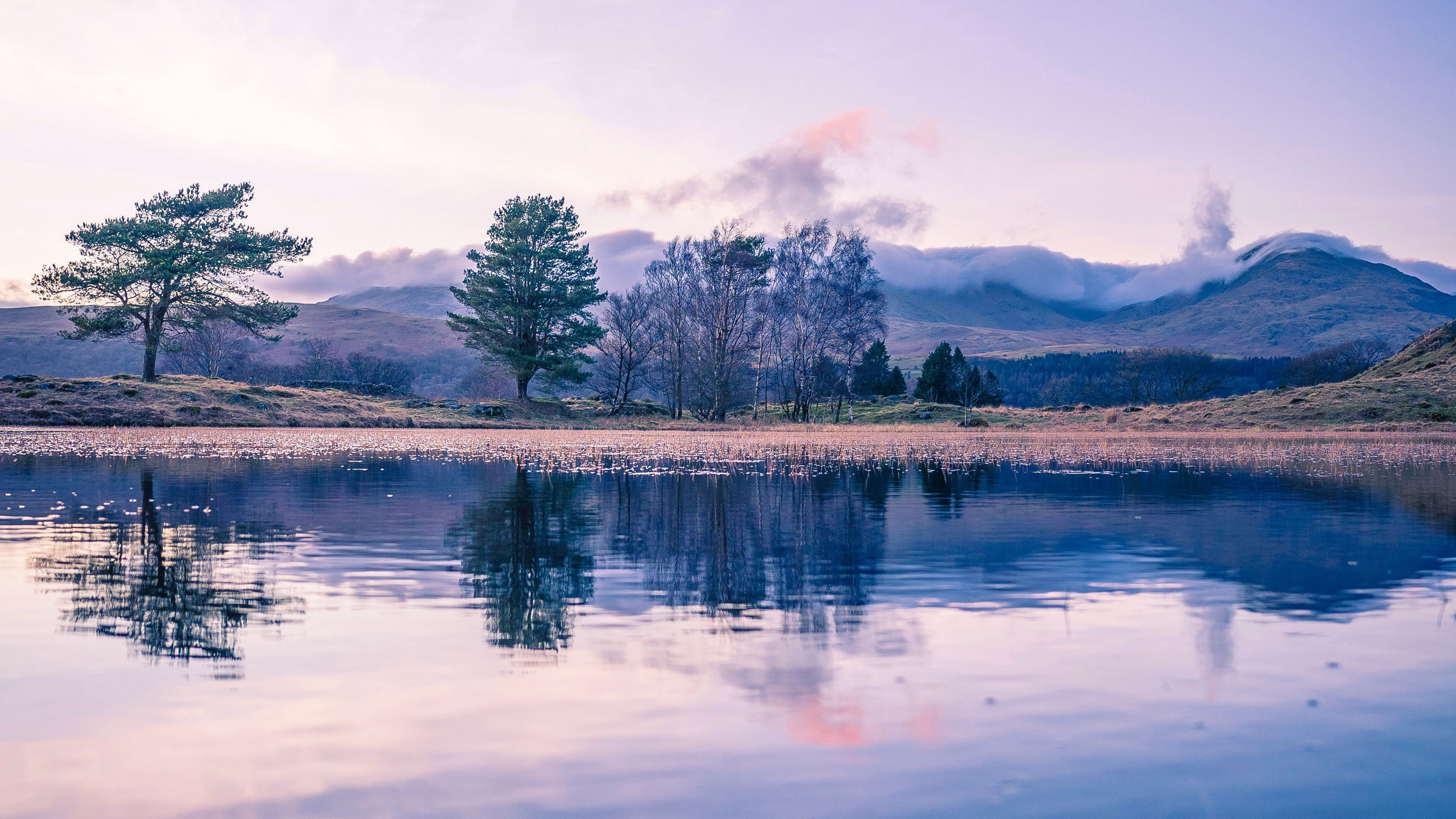 Laden Sie das Landschaft, Baum, Fluss, Erde/natur, Spiegelung-Bild kostenlos auf Ihren PC-Desktop herunter