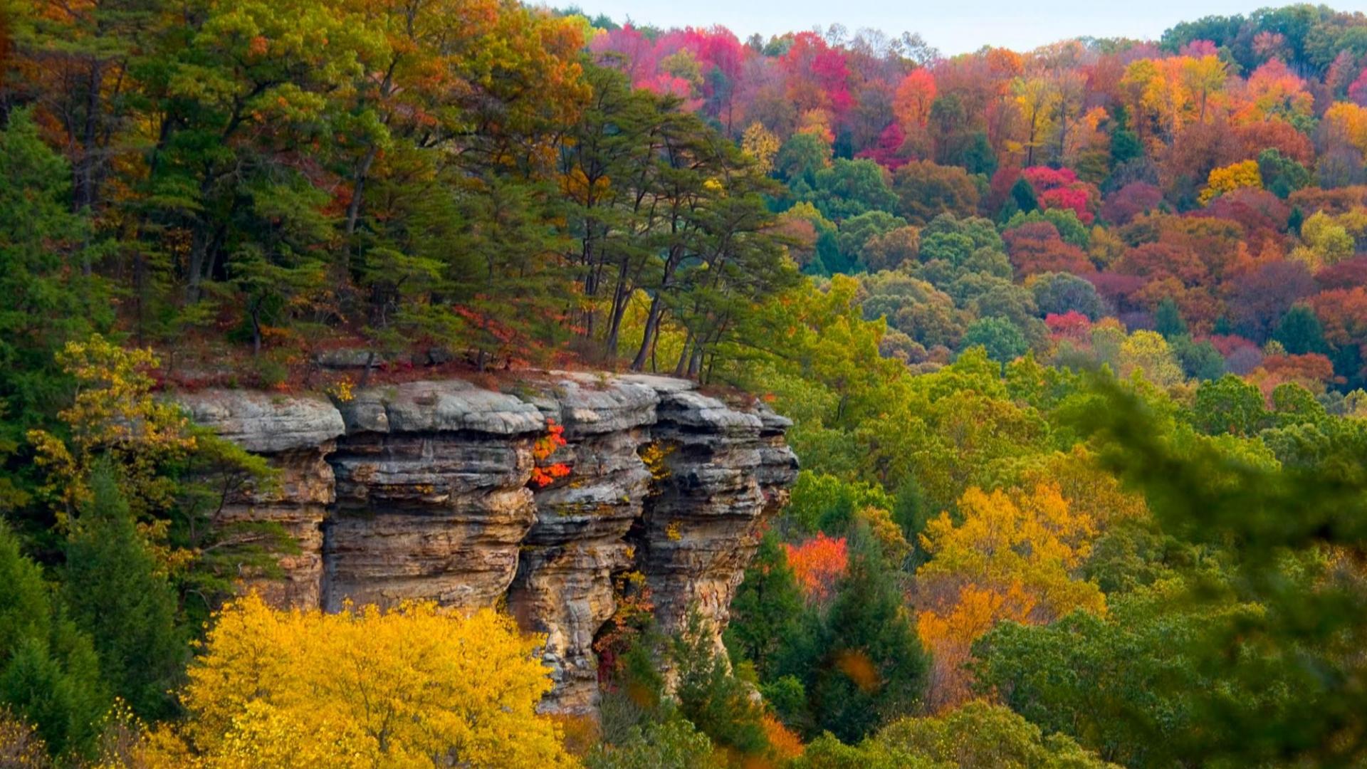 Descarga gratis la imagen Otoño, Bosque, Acantilado, Tierra/naturaleza en el escritorio de tu PC