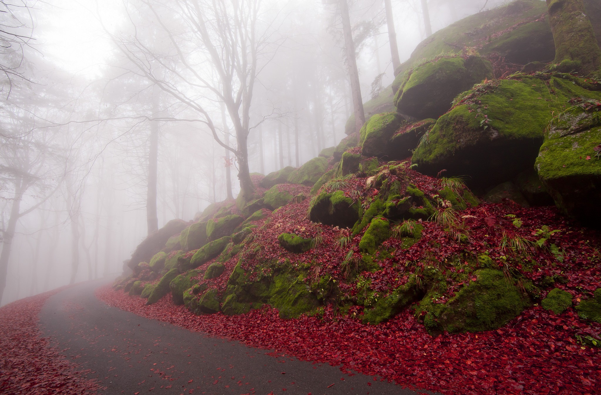 Descarga gratuita de fondo de pantalla para móvil de Carretera, Hecho Por El Hombre.