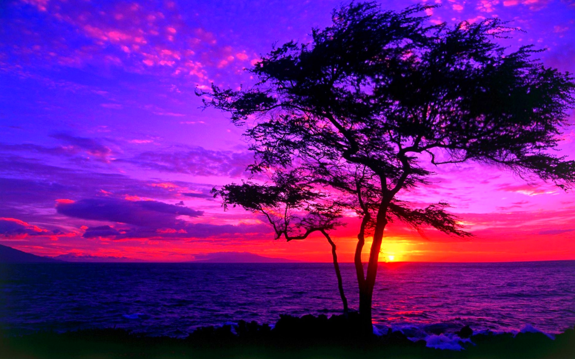 Скачать картинку Пурпурный, Земля/природа, Закат Солнца в телефон бесплатно.