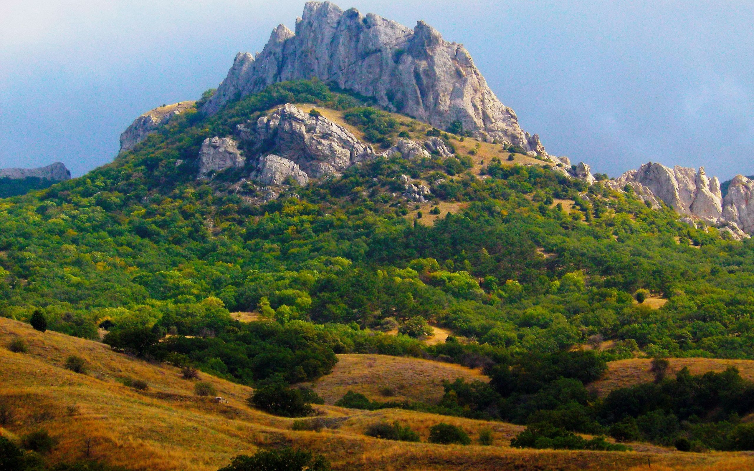 Descarga gratis la imagen Árboles, Montañas, Alivio, Acantilado, Naturaleza en el escritorio de tu PC