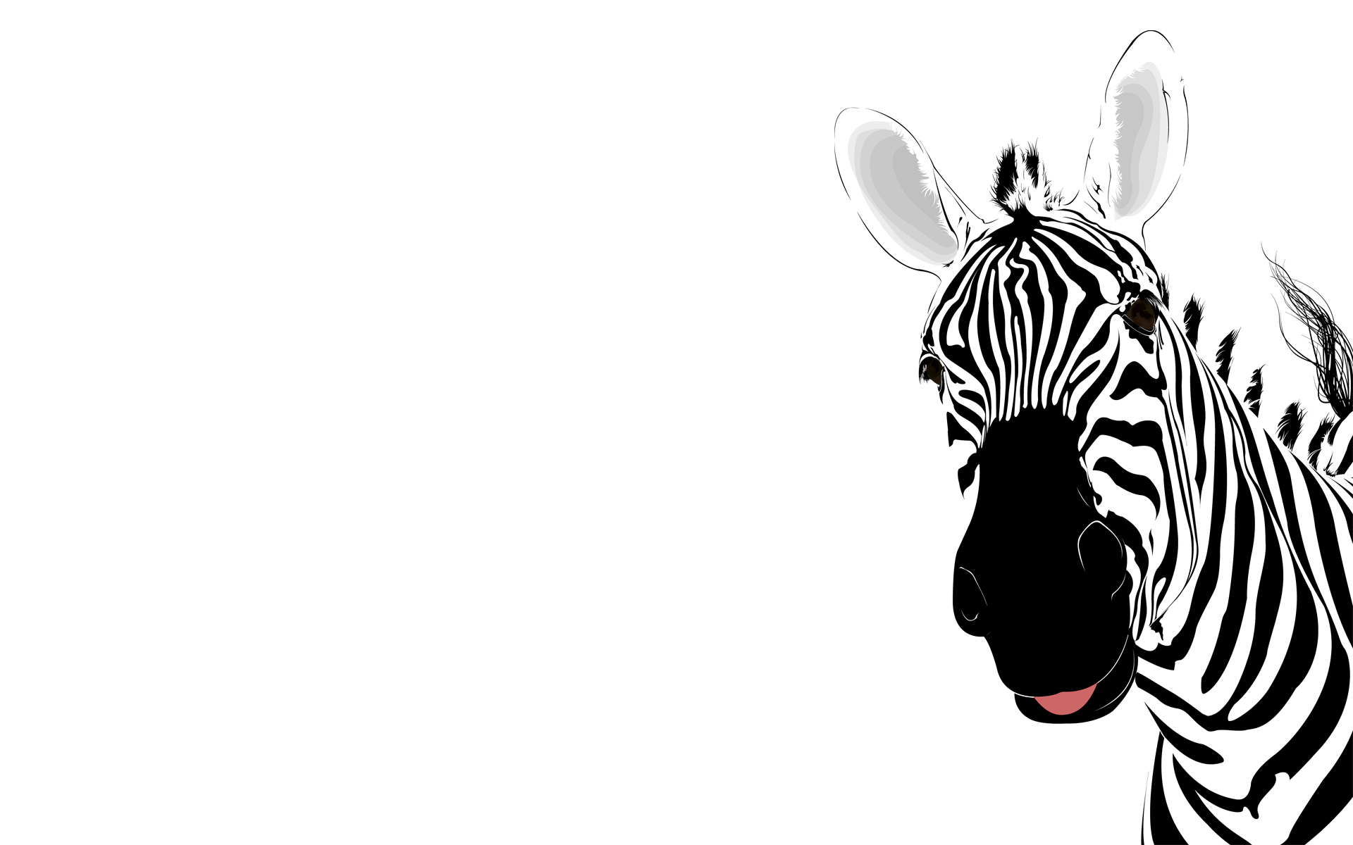 229935 скачать обои животные, зебра - заставки и картинки бесплатно