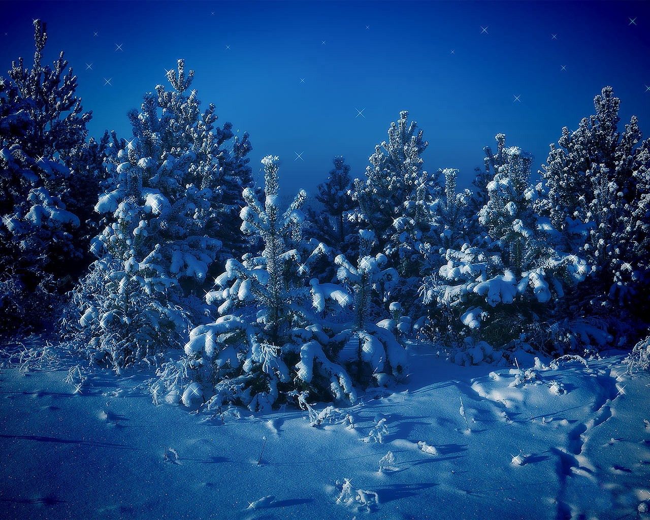 Download mobile wallpaper Pine, Snow, Stars, Night, Nature for free.