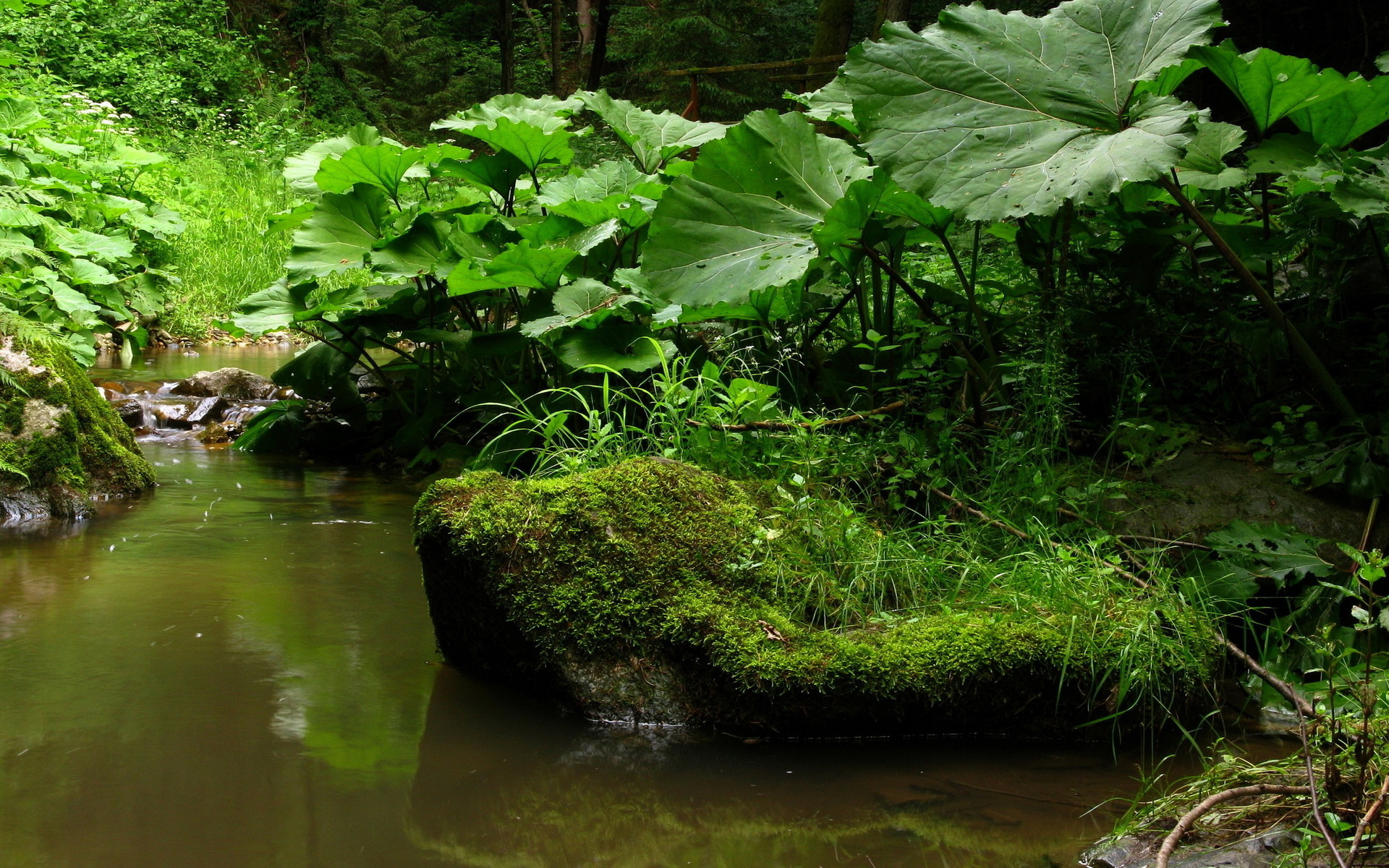 Baixe gratuitamente a imagem Corrente, Terra/natureza na área de trabalho do seu PC