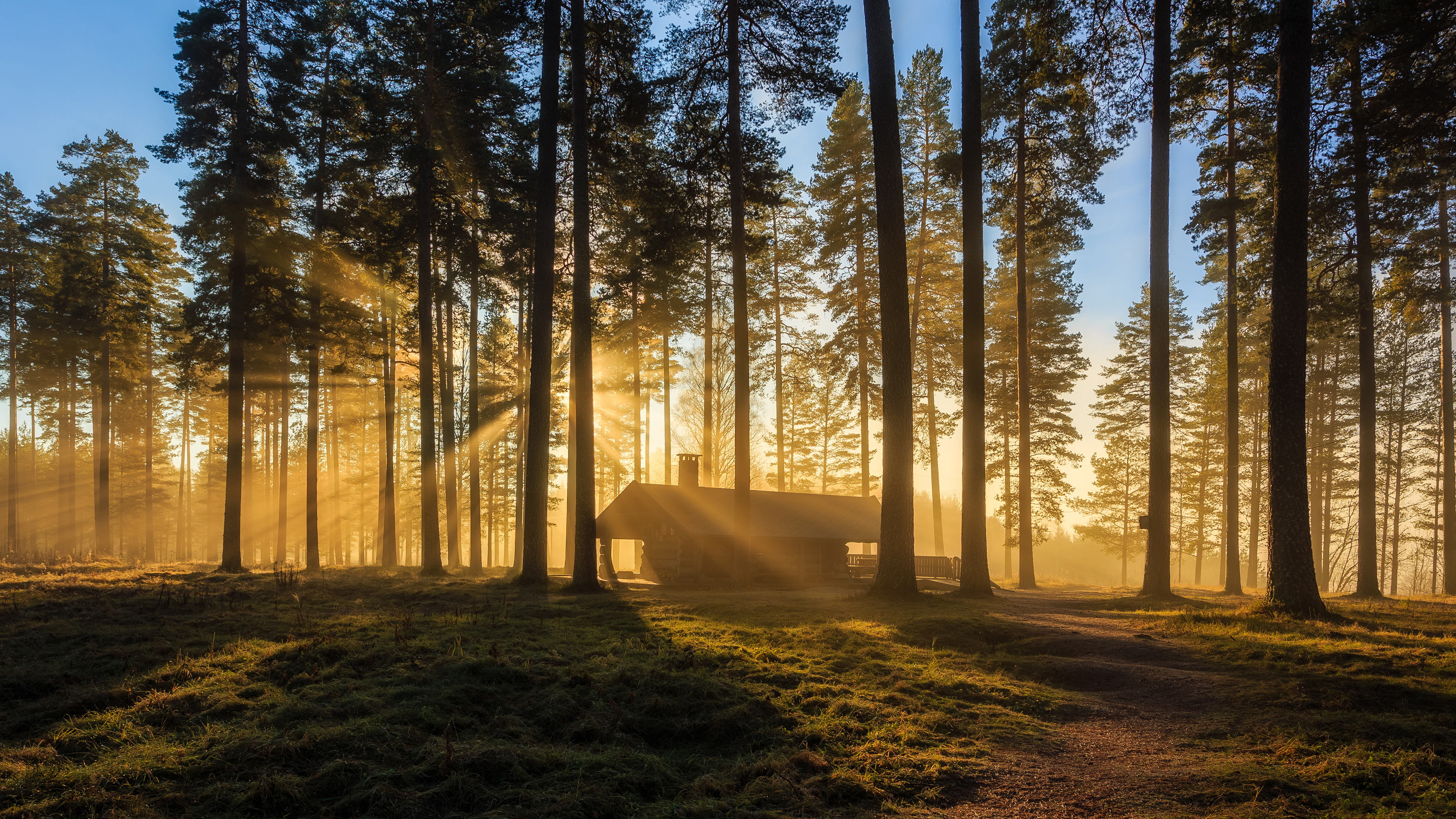 Laden Sie das Natur, Wald, Baum, Hütte, Fotografie, Sonnenstrahl-Bild kostenlos auf Ihren PC-Desktop herunter