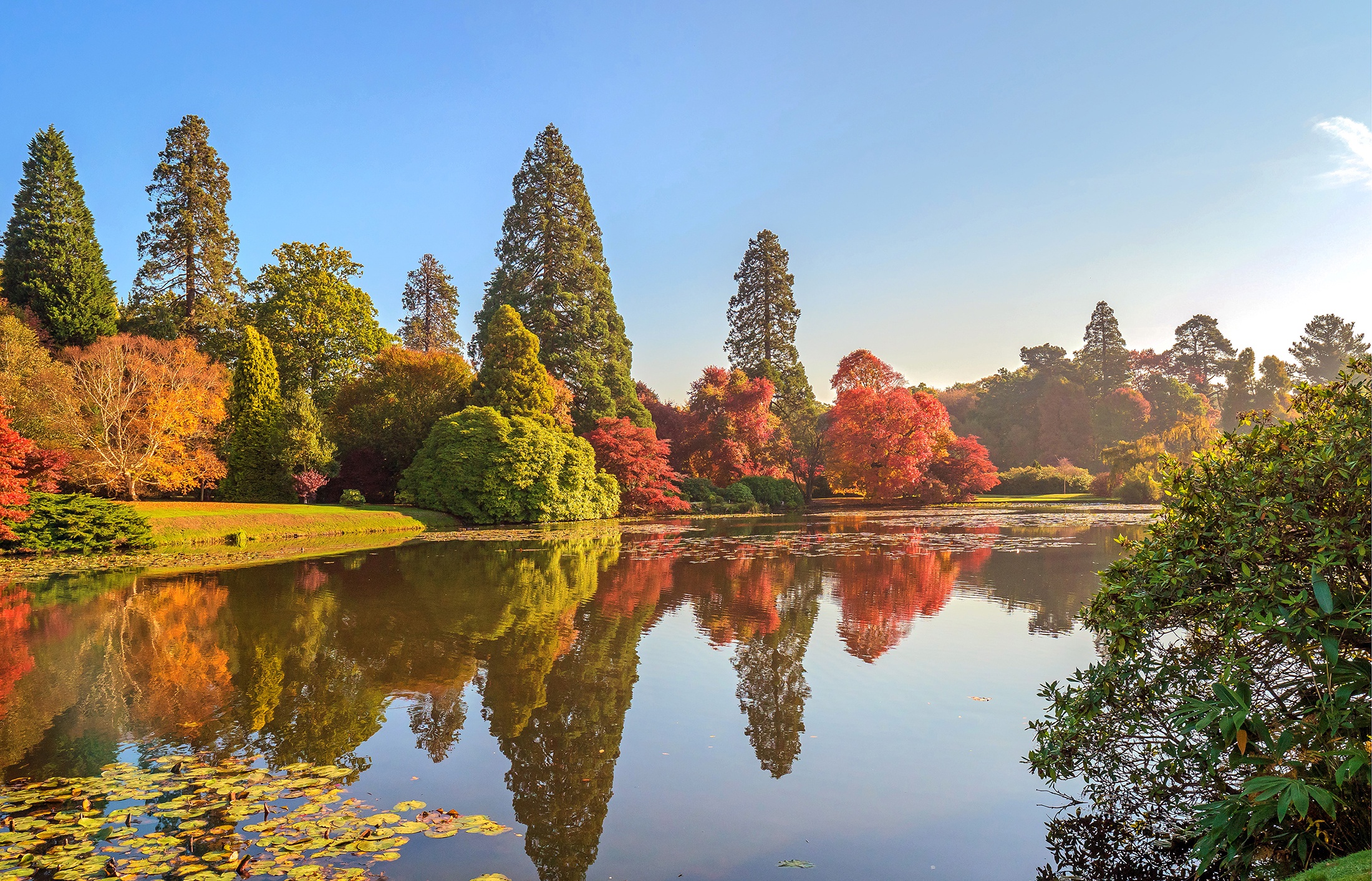 Laden Sie das Natur, Herbst, See, Park, Fotografie, England, Spiegelung-Bild kostenlos auf Ihren PC-Desktop herunter