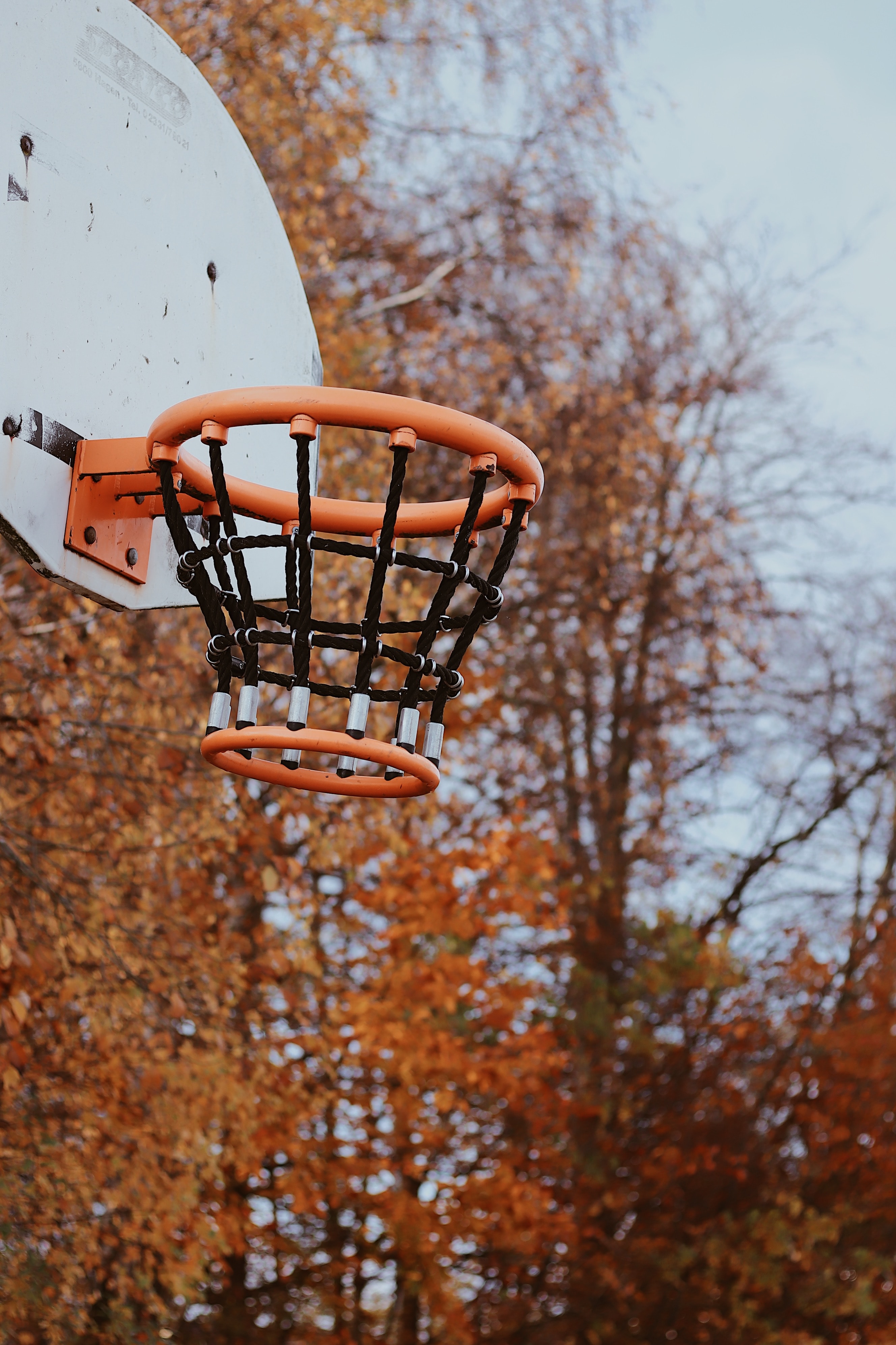 HD wallpaper basketball, sports, grid, basket, basketball hoop, basketball ring
