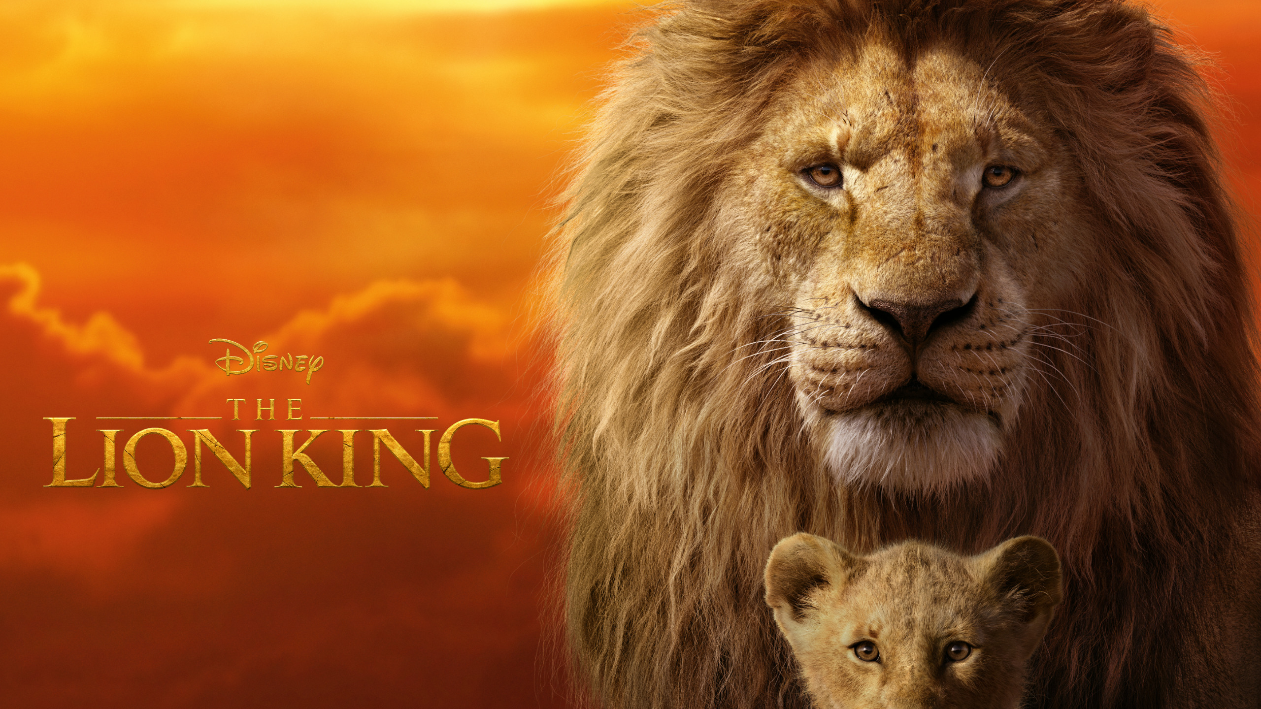 movie, the lion king (2019), mufasa (the lion king), simba