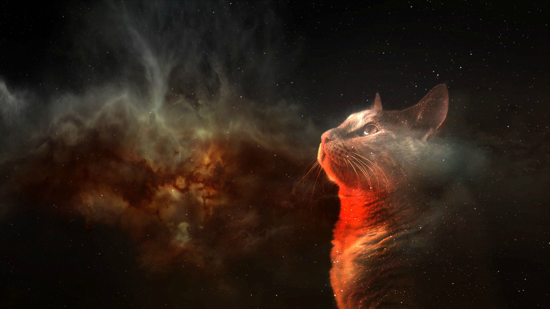 Download mobile wallpaper Cat, Animal, Space, Artistic for free.
