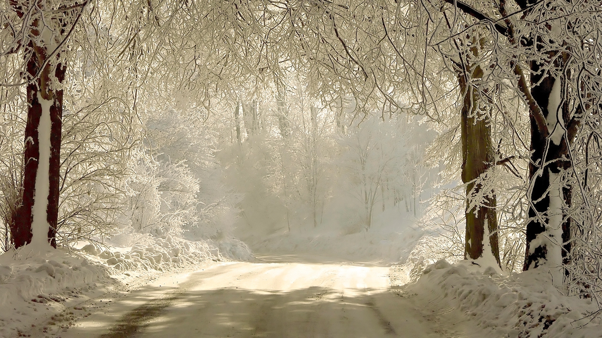 Download mobile wallpaper Snow, Winter, Trees, Landscape, Roads for free.