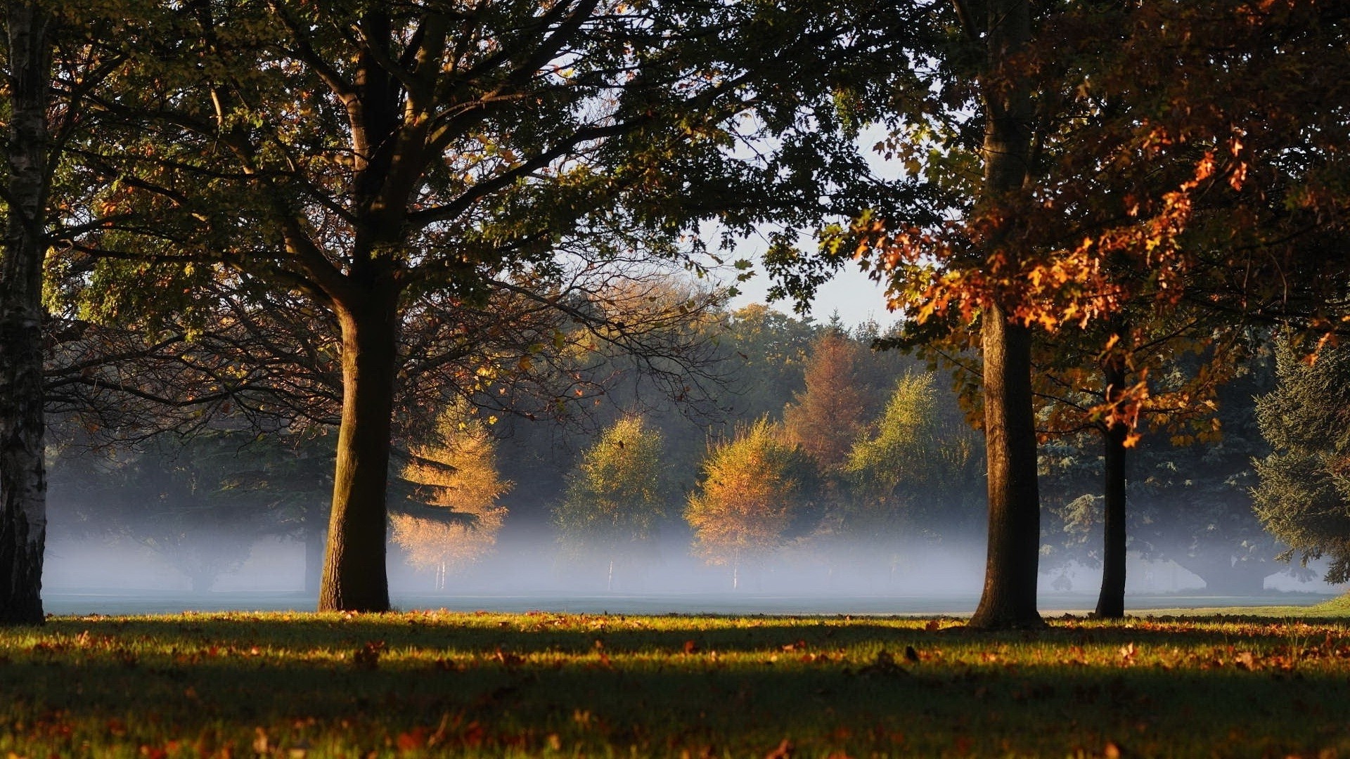 無料モバイル壁紙風景, 自然, 秋, 葉, 霧, 地球, シーズンをダウンロードします。