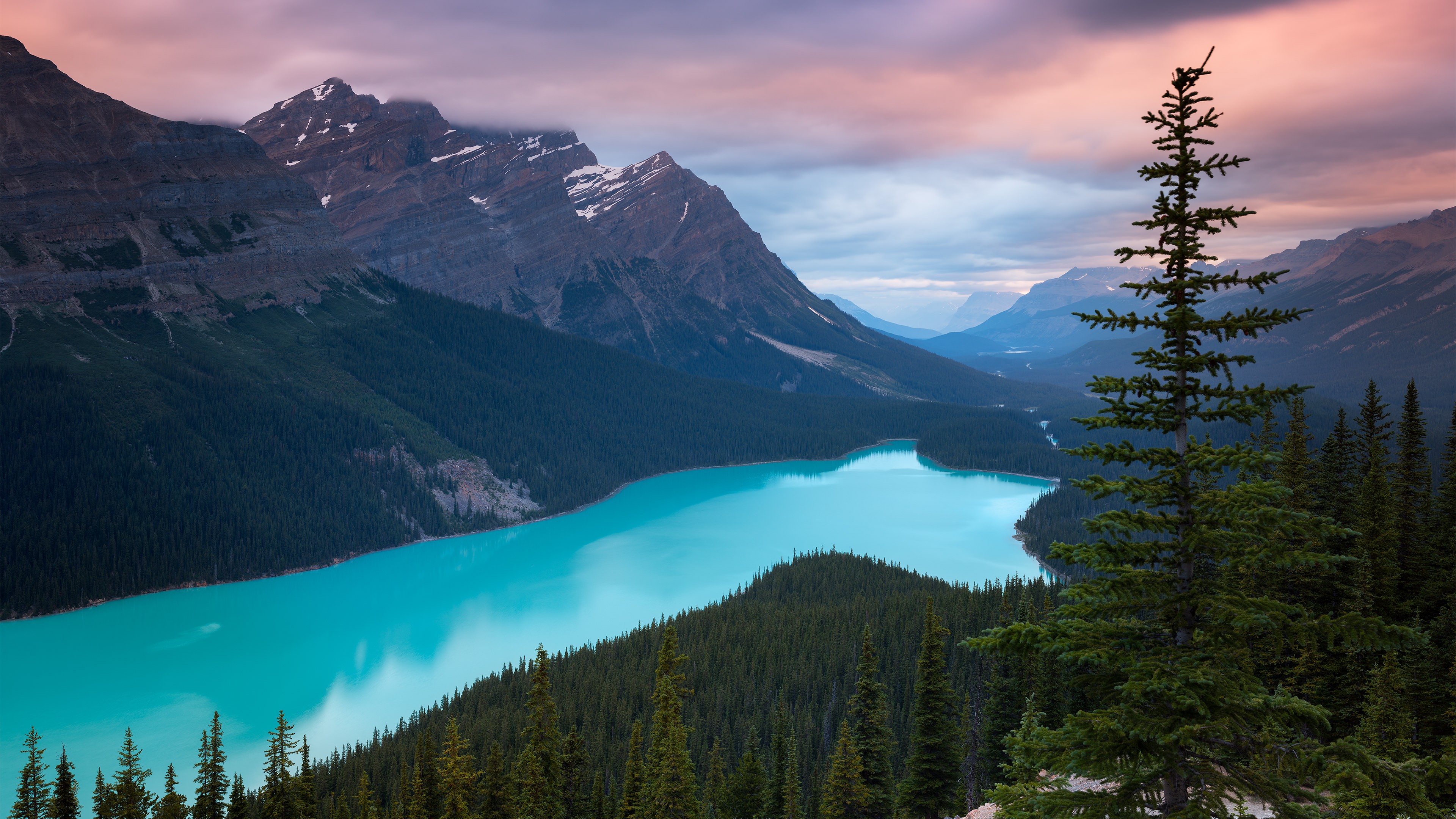 Free download wallpaper Lake, Canada, Earth, Peyto Lake on your PC desktop