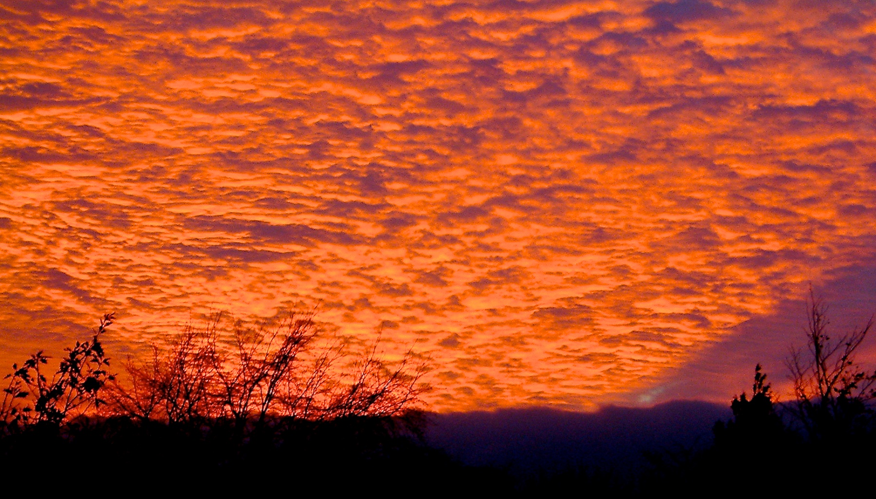 Descarga gratuita de fondo de pantalla para móvil de Atardecer, Tierra/naturaleza.