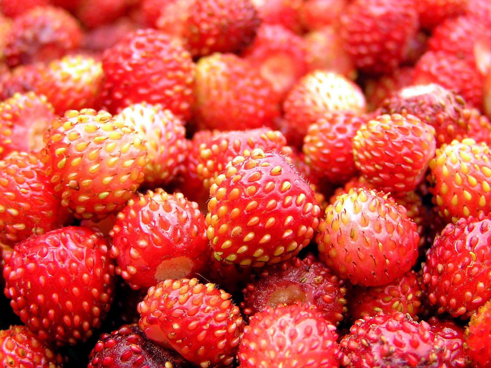 ripe, food, strawberry, berry, wild strawberries download HD wallpaper