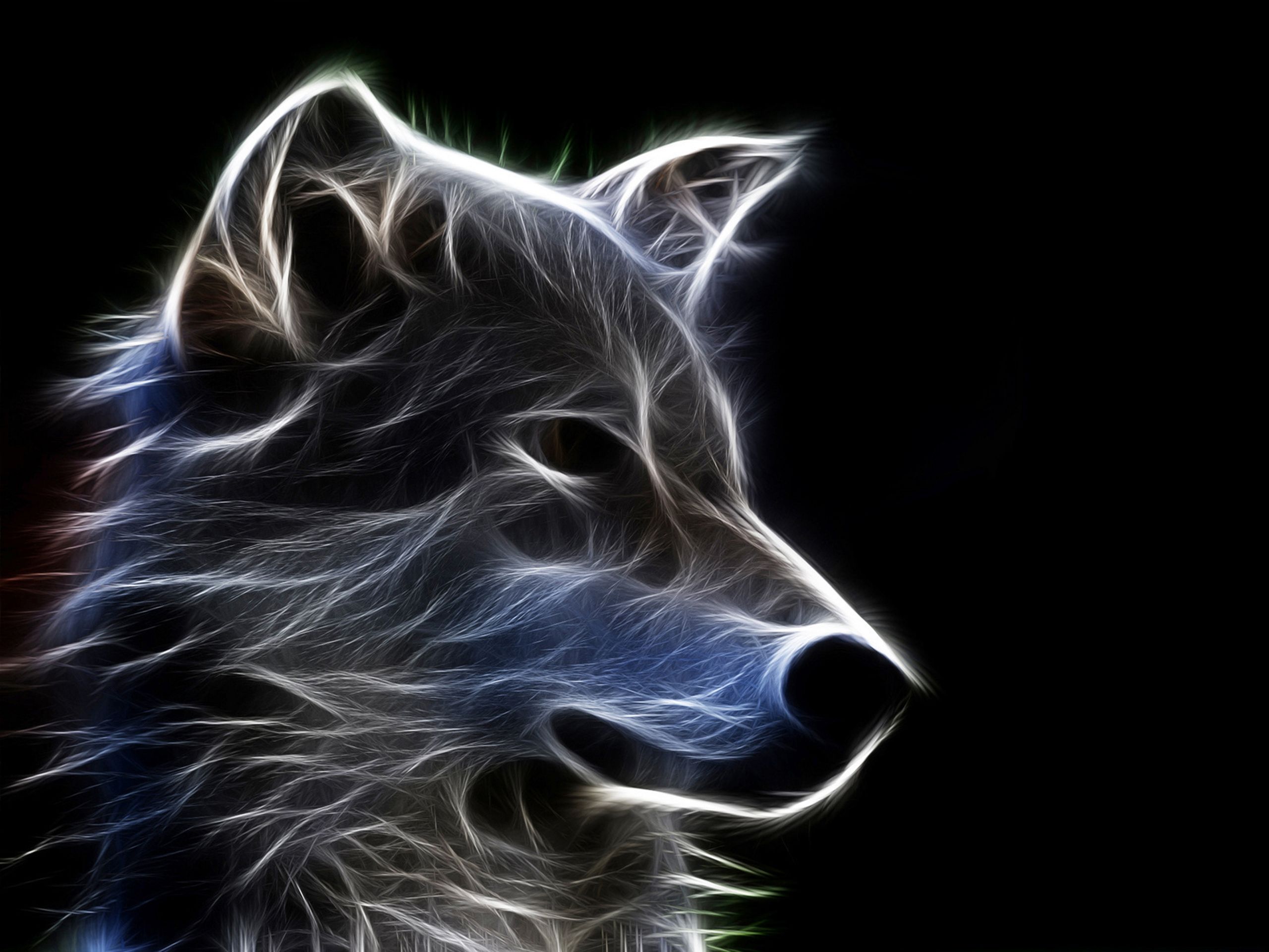 310828 descargar imagen lobo, animales, wolves: fondos de pantalla y protectores de pantalla gratis