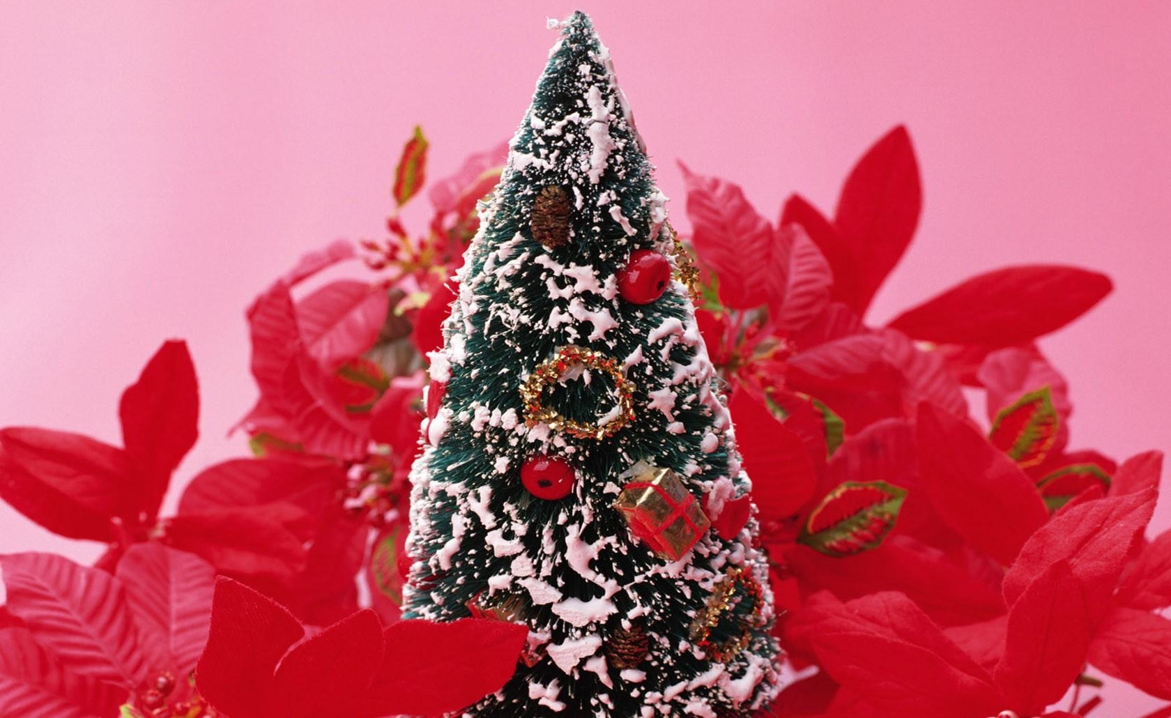 Baixar papel de parede para celular de Flores, Neve, Brinquedo, Férias, Árvore De Natal gratuito.
