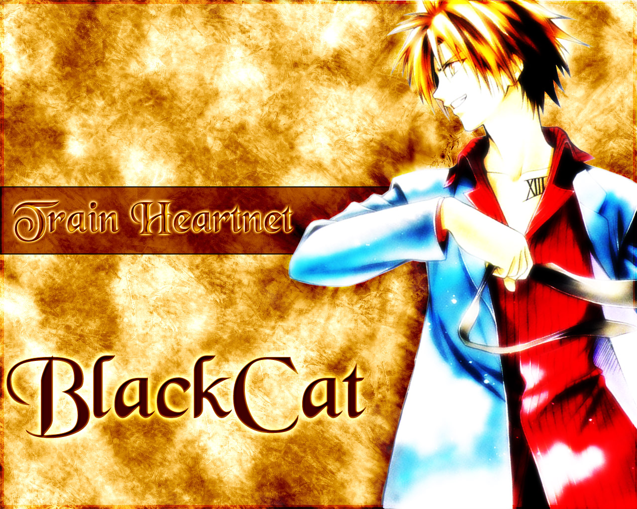 PCデスクトップに黒猫, アニメ画像を無料でダウンロード