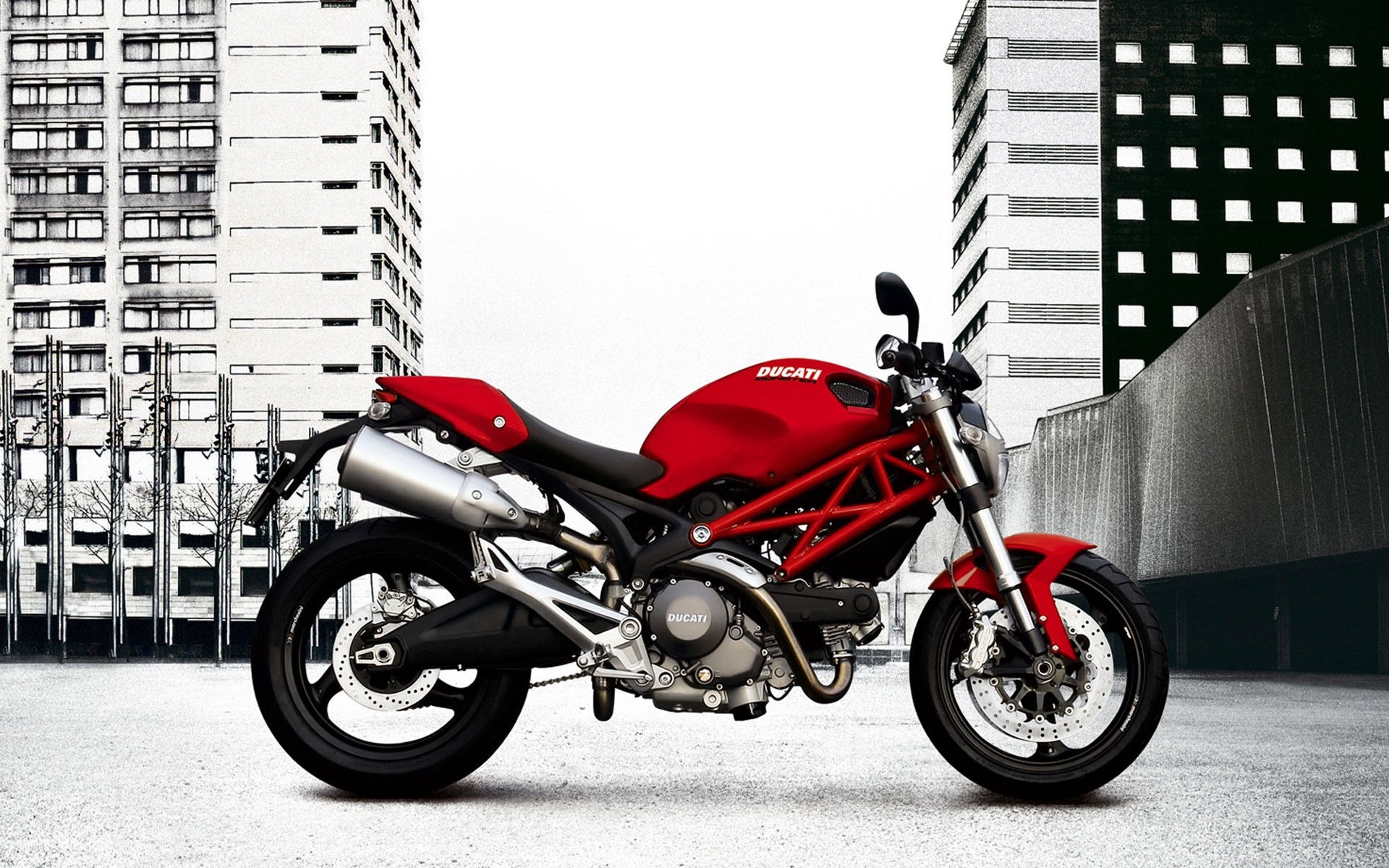 Descarga gratuita de fondo de pantalla para móvil de Ducati, Motocicletas, Motocicleta, Vehículos.