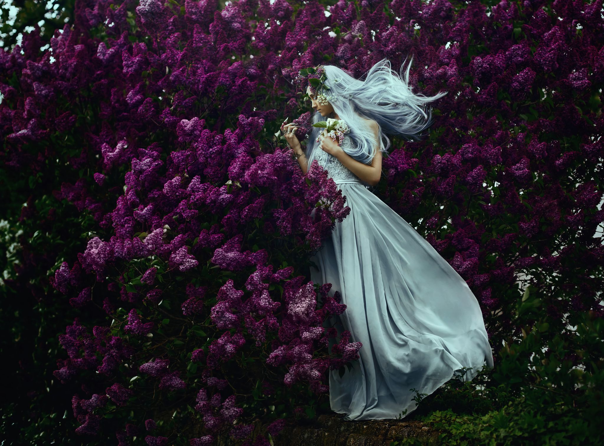 Download mobile wallpaper Lilac, Mood, Women, Purple Flower, White Hair, White Dress for free.