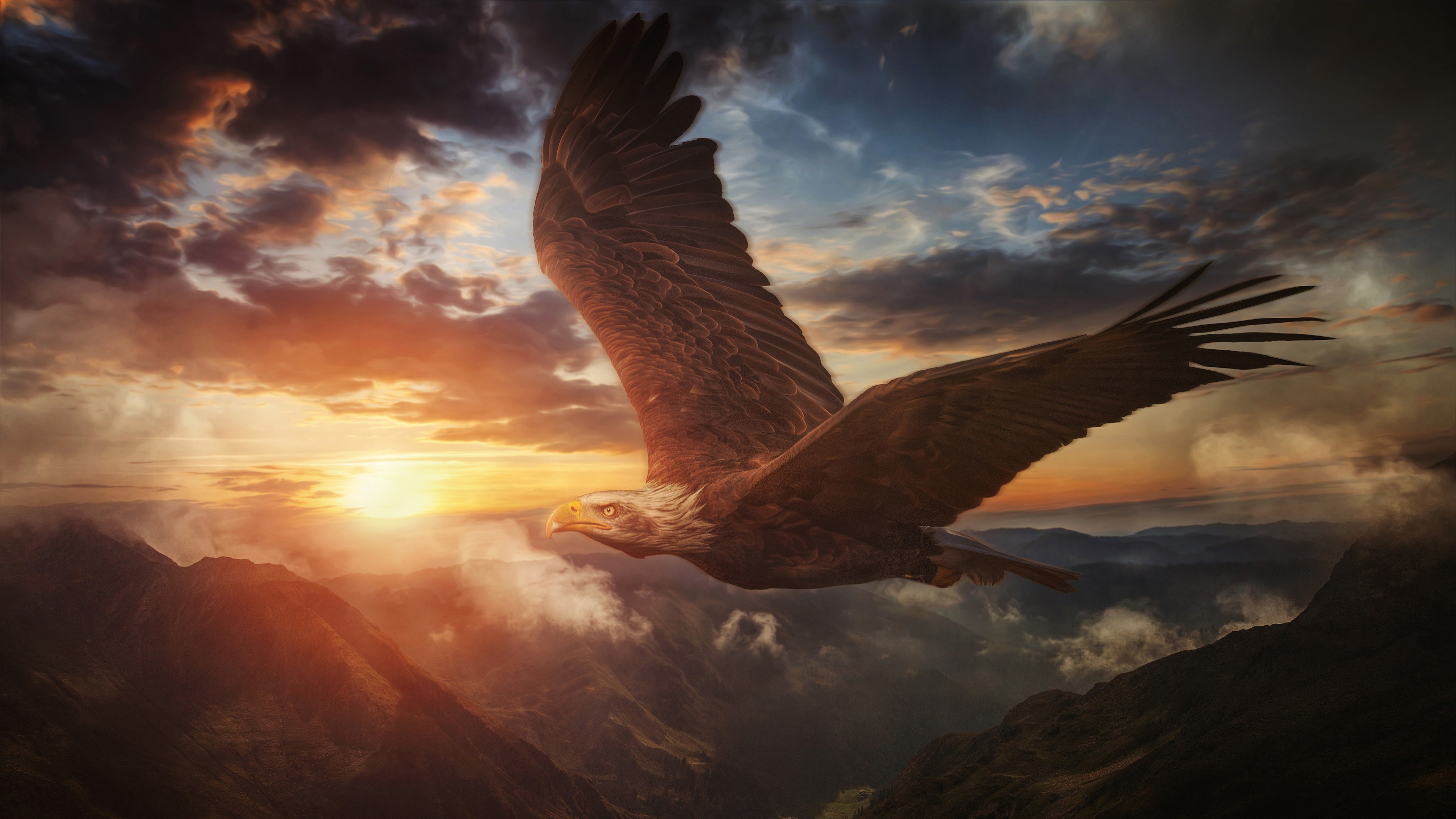 Laden Sie das Tiere, Vögel, Gebirge, Adler, Weißkopfseeadler, Sonnenuntergang-Bild kostenlos auf Ihren PC-Desktop herunter