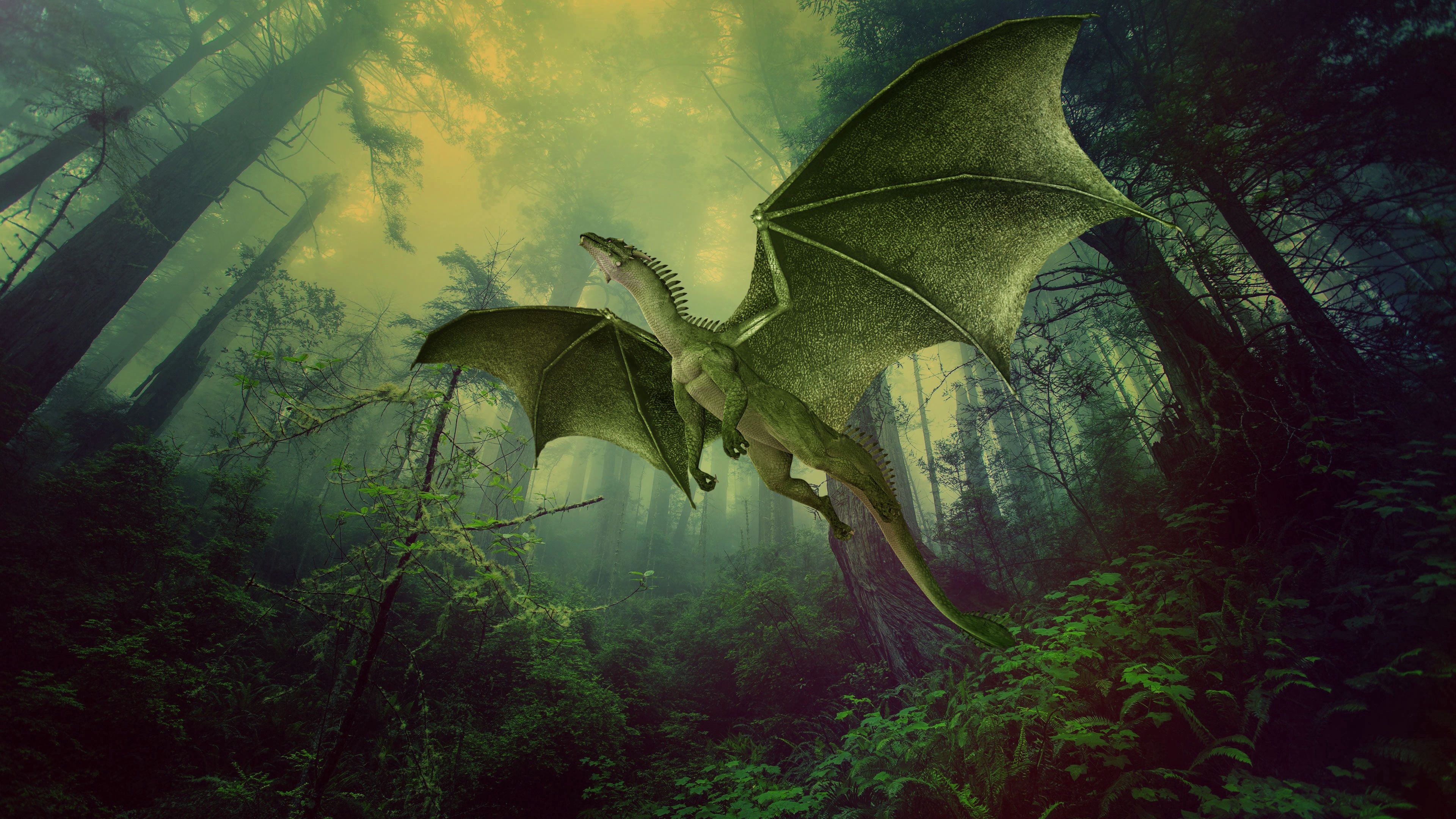 fantasy, forest, fog, flight, dragon, photoshop Desktop Wallpaper