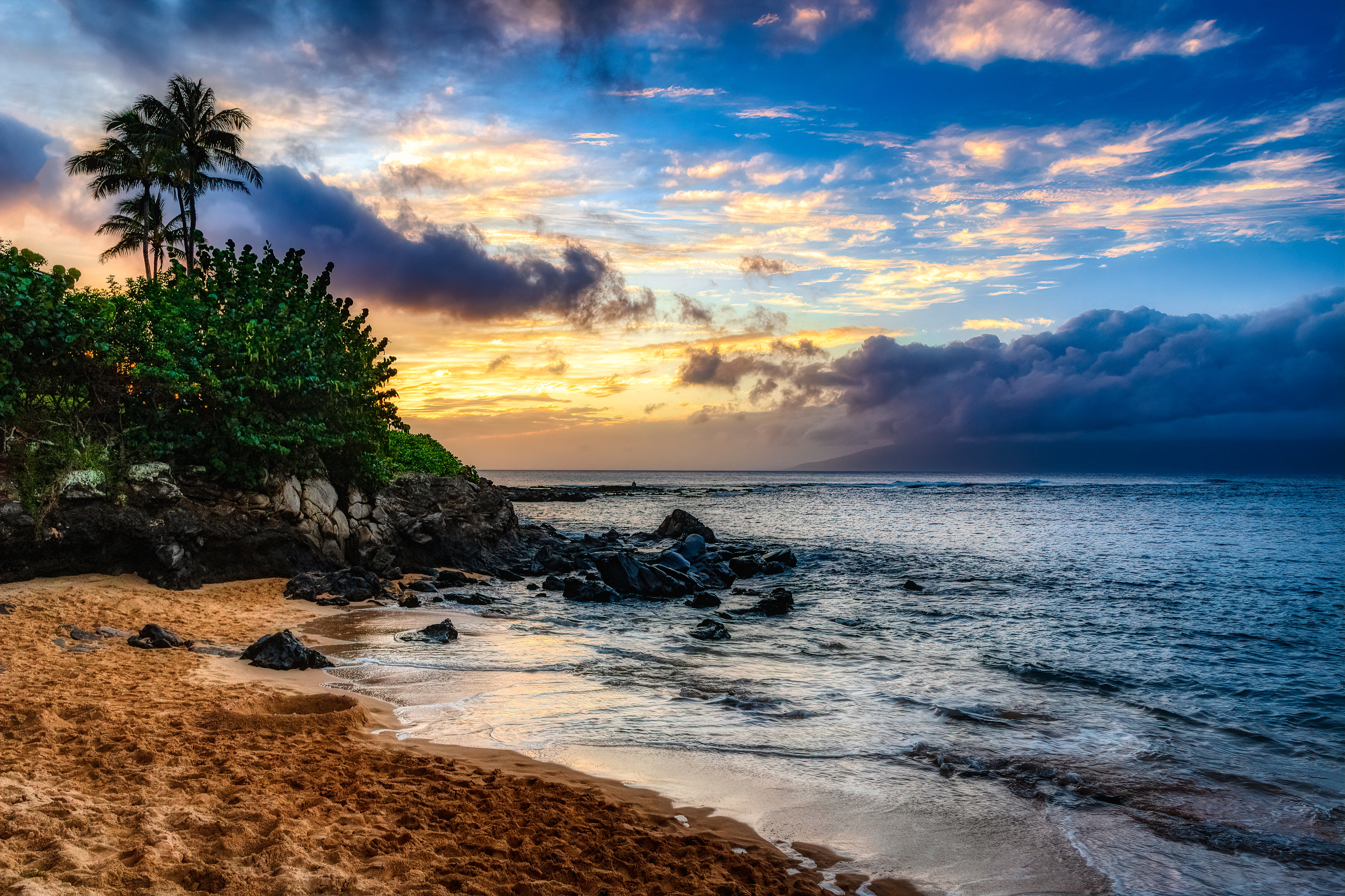 Скачати мобільні шпалери Острів, Природа, Пальми, Пляж безкоштовно.