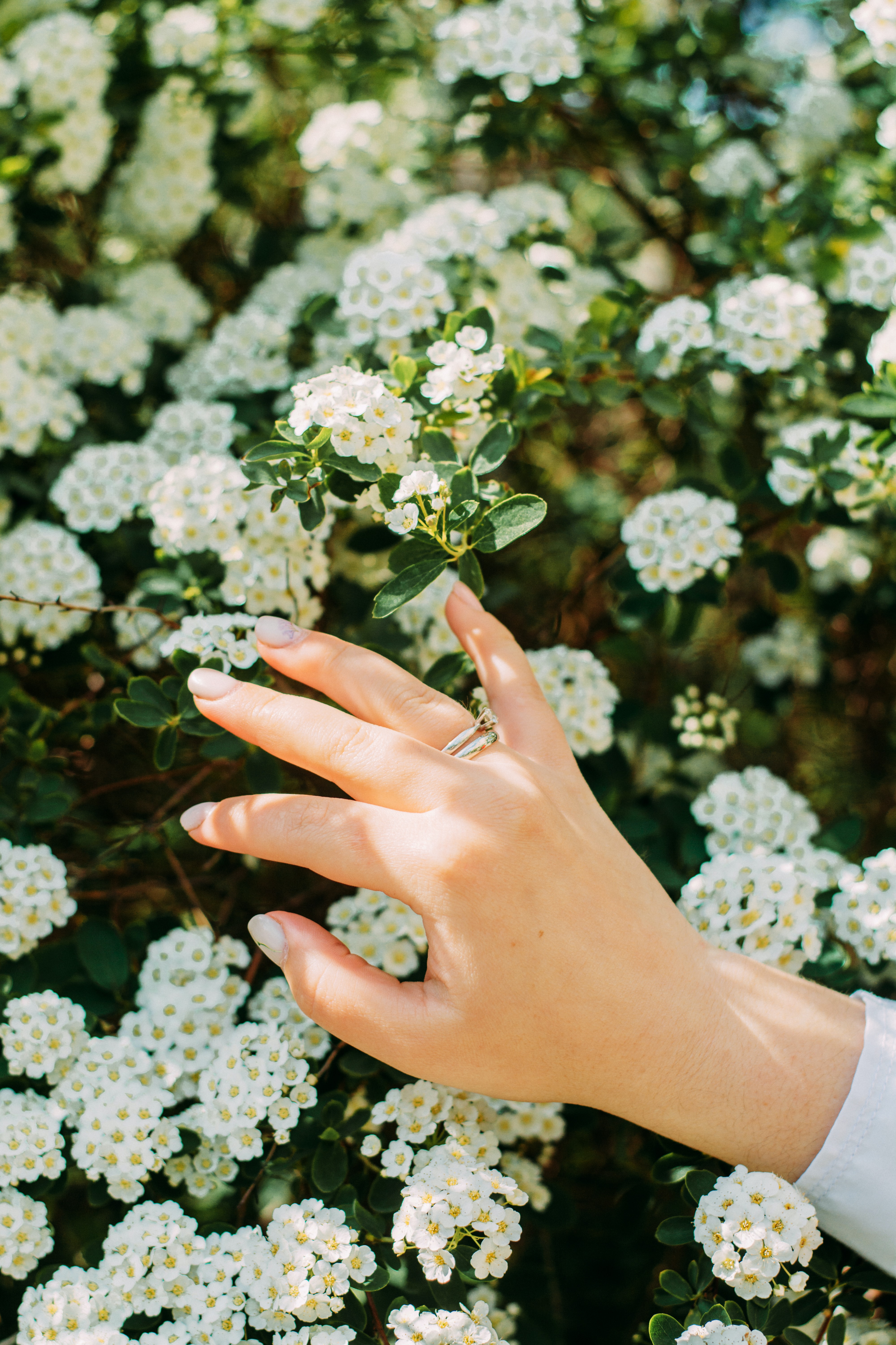Download mobile wallpaper Miscellanea, Miscellaneous, Ring, Flowers, Hand, Bloom, Flowering for free.