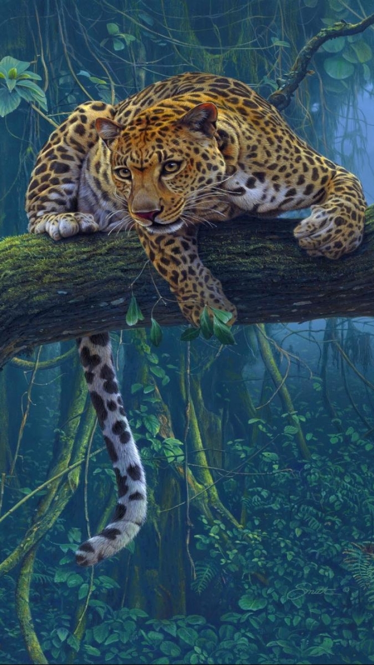 Handy-Wallpaper Tiere, Katzen, Leopard, Nebel, Ast, Zweig, Dschungel, Regenwald, Urwald kostenlos herunterladen.