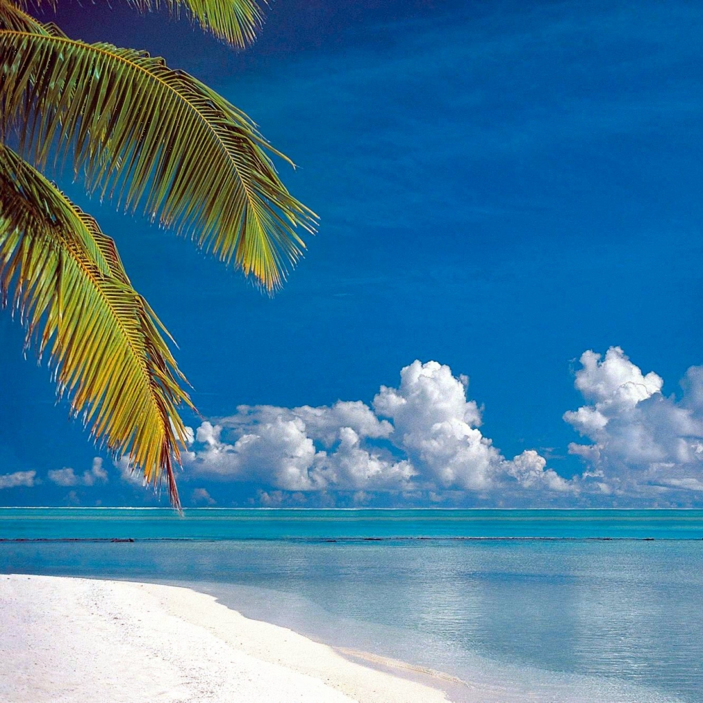 Download mobile wallpaper Sky, Beach, Summer, Horizon, Reflection, Ocean, Earth, Tropical, Cloud, Palm Tree for free.
