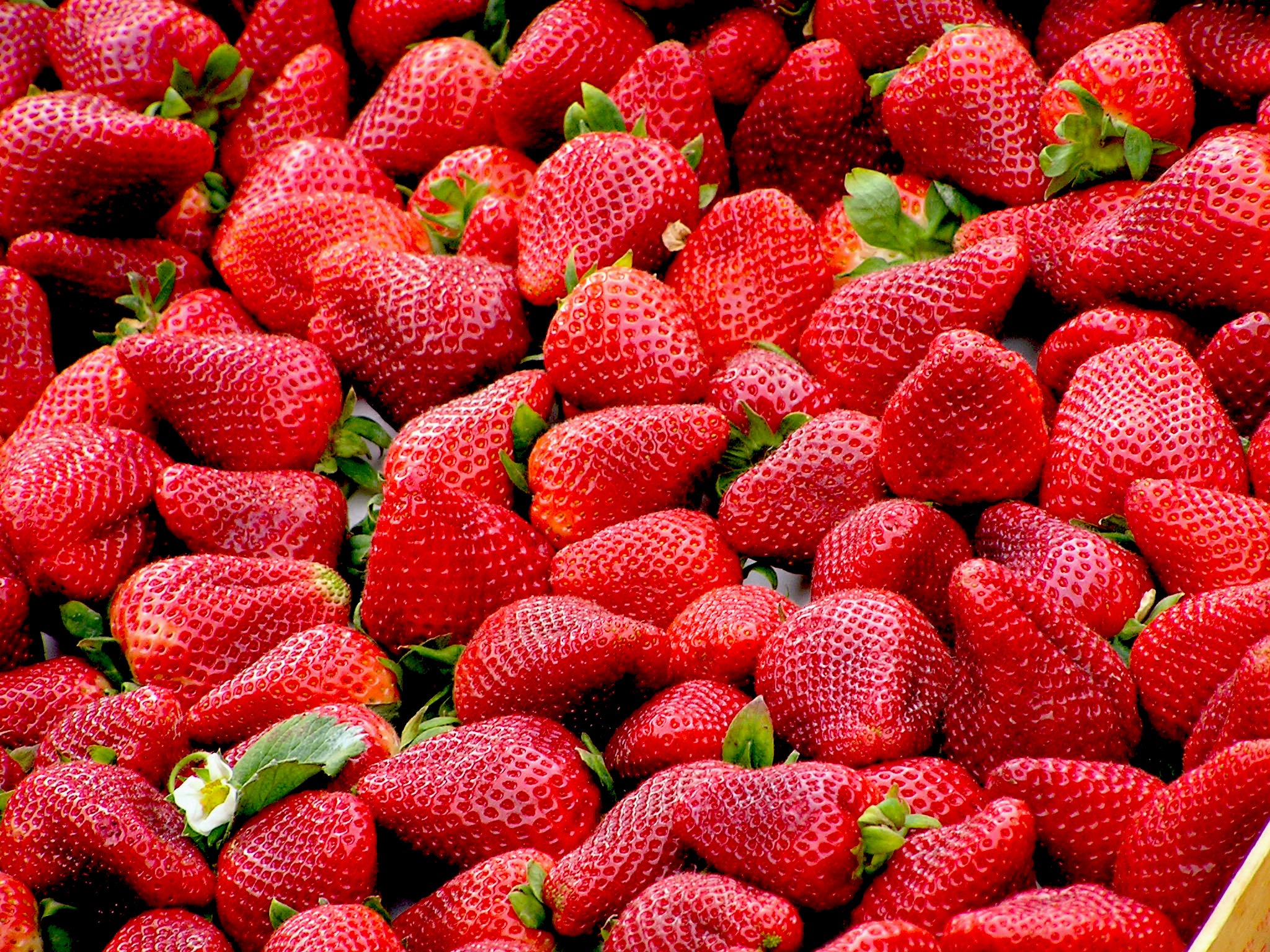Download mobile wallpaper Fruits, Food, Strawberry, Berry, Fruit for free.