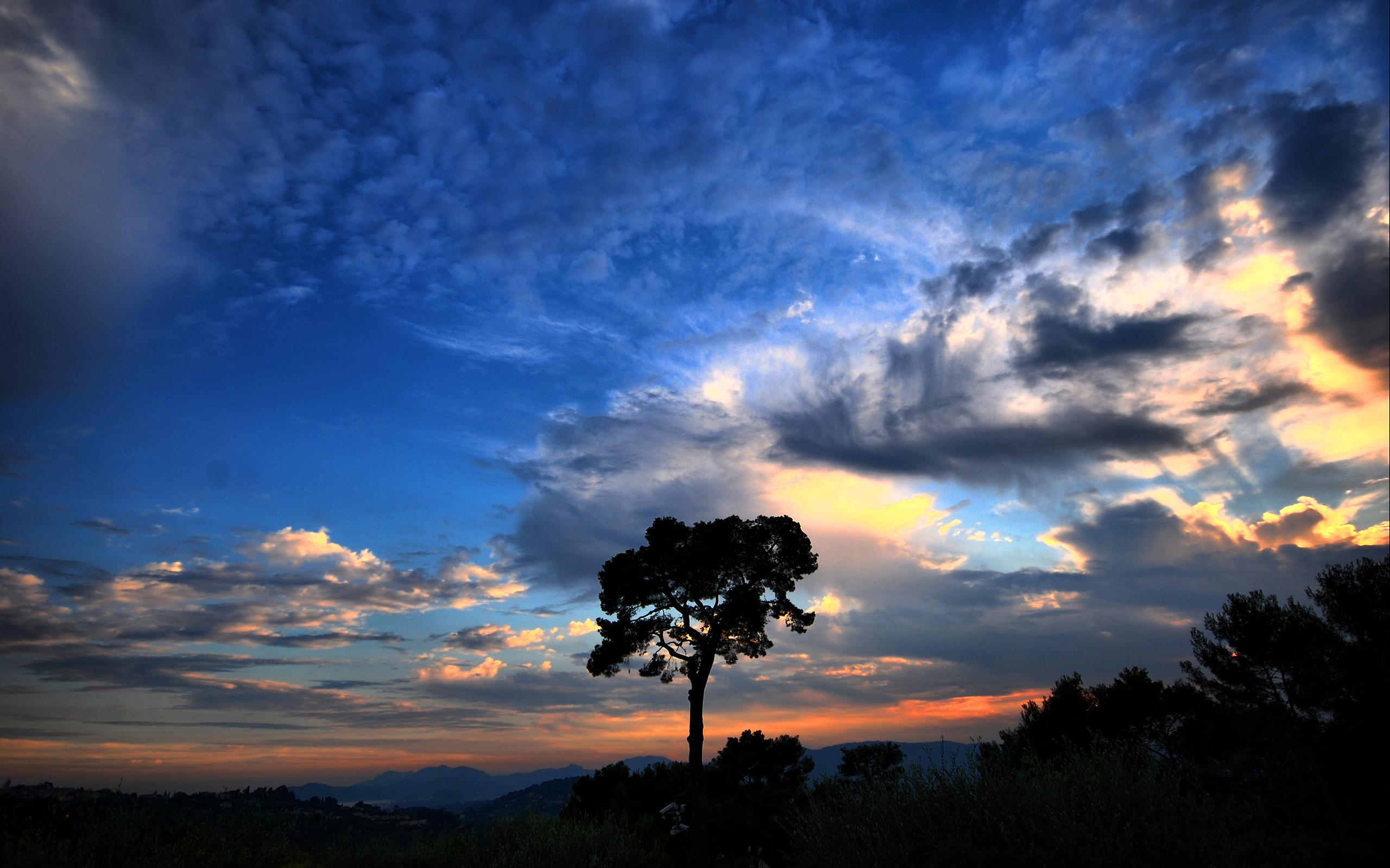 Скачать картинку Закат Солнца, Дерево, Земля/природа, Облака, Небо в телефон бесплатно.