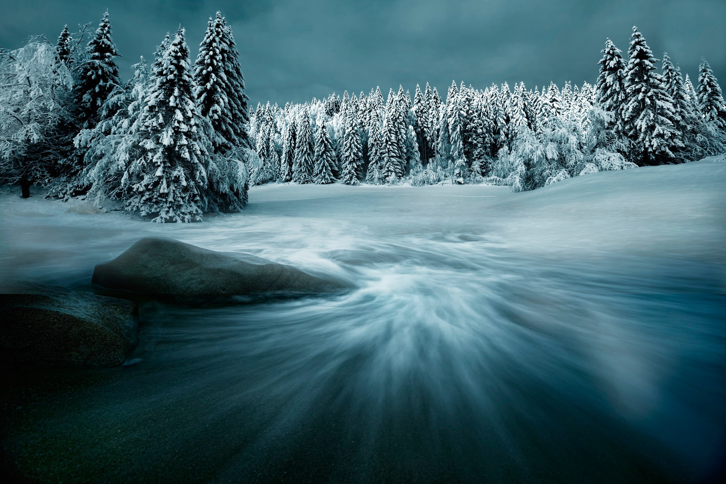 Descarga gratis la imagen Invierno, Pino, Nieve, Bosque, Árbol, Tierra/naturaleza en el escritorio de tu PC