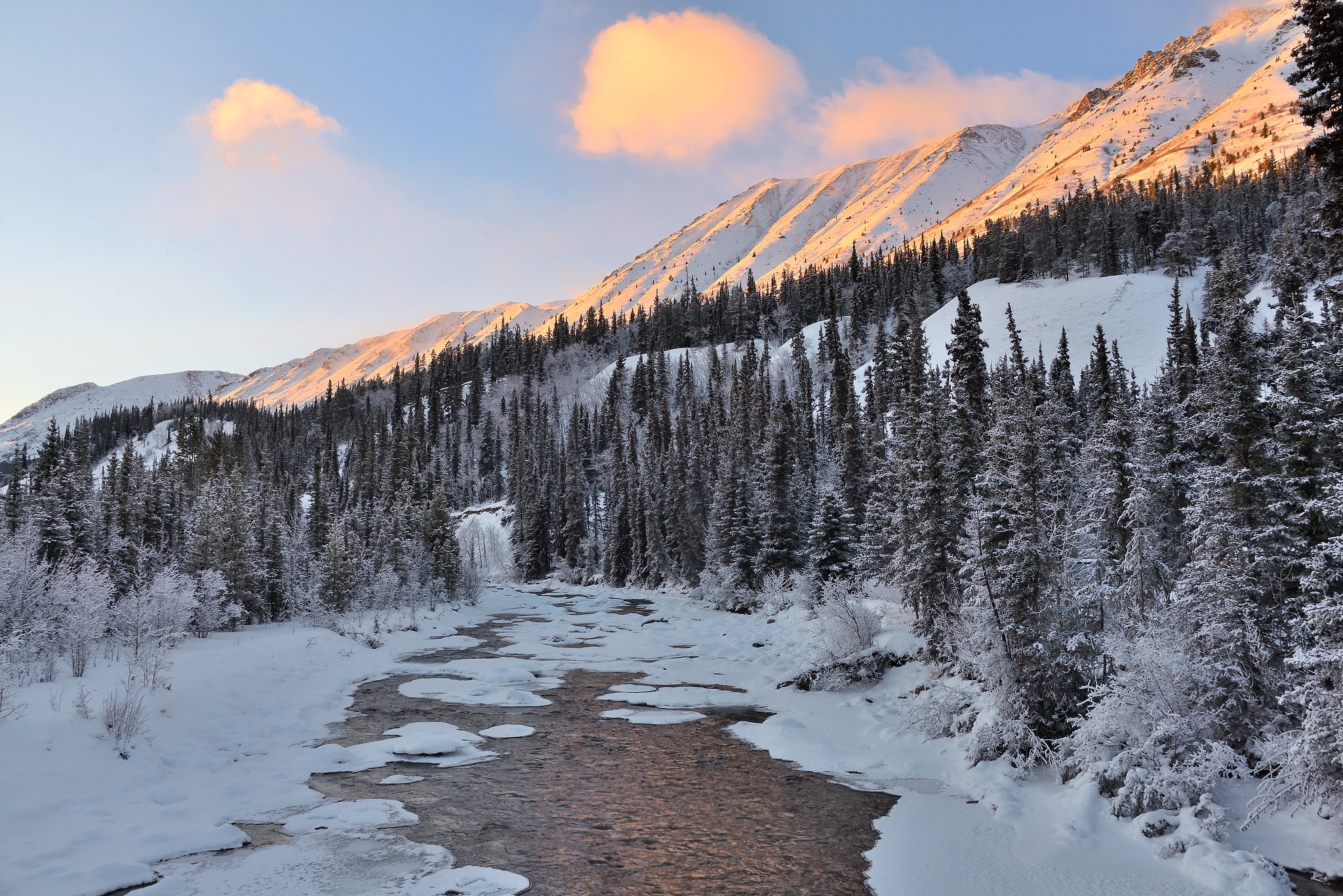 Скачать картинку Зима, Природа, Река, Снег, Лес, Лёд, Земля/природа в телефон бесплатно.