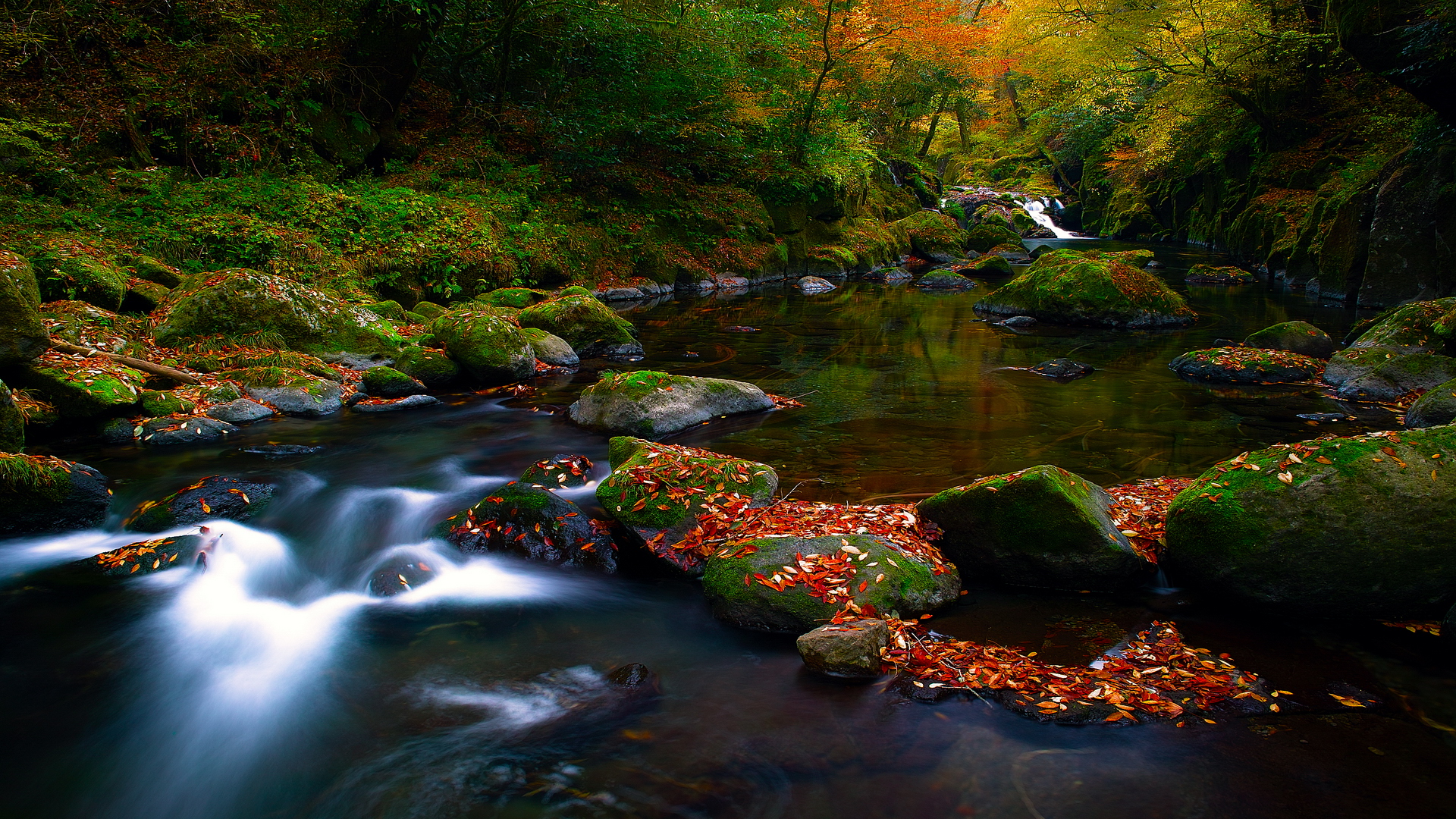 Download mobile wallpaper Water, Leaf, Fall, Earth, Moss, River for free.