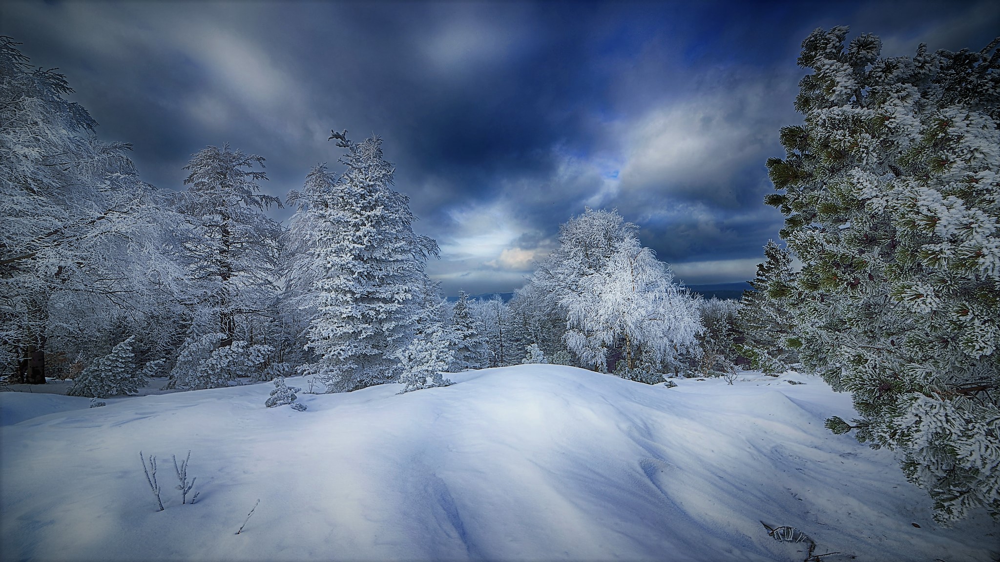 Laden Sie das Winter, Schnee, Wald, Baum, Wolke, Erde/natur-Bild kostenlos auf Ihren PC-Desktop herunter