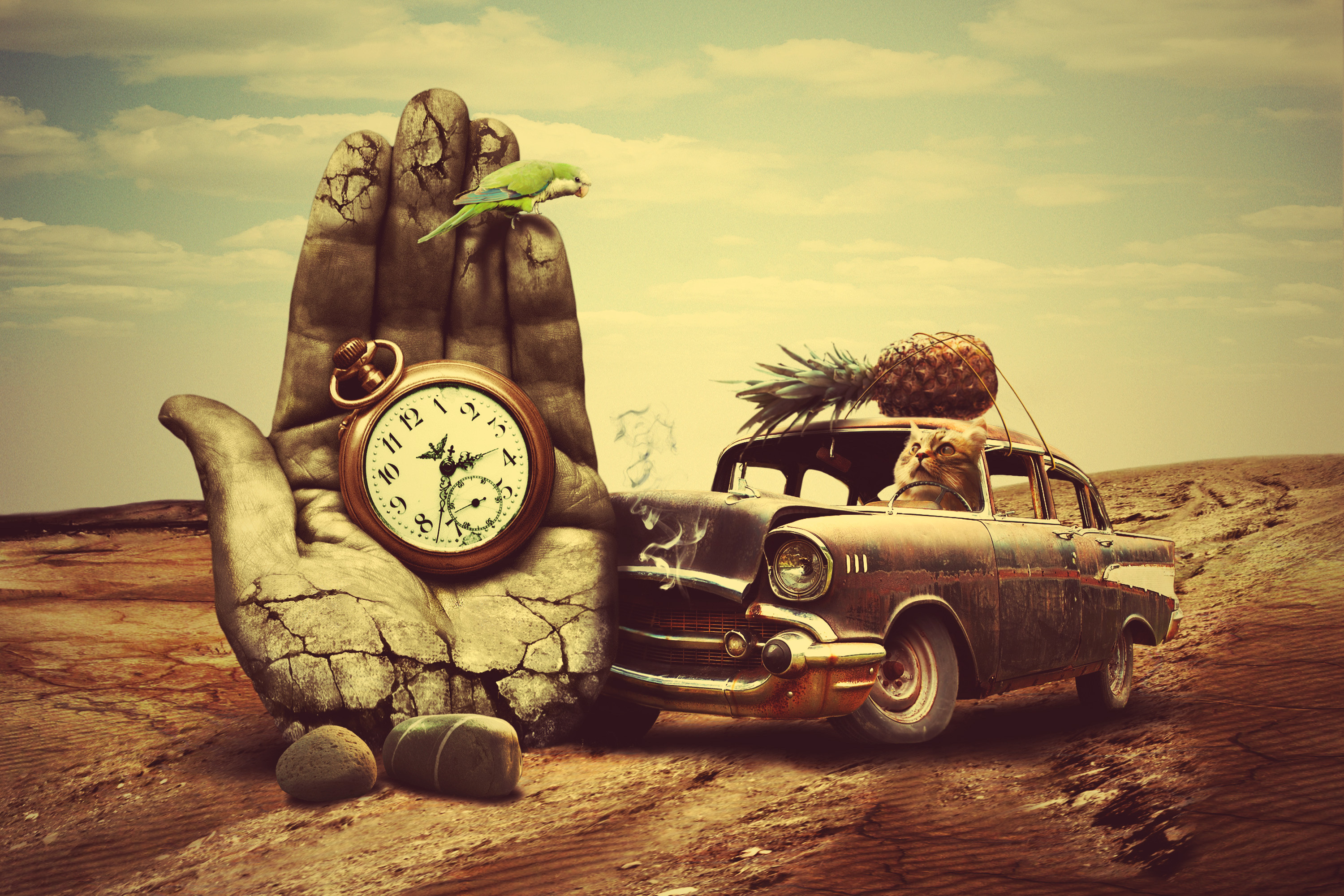 car, surrealism, creative, art, clock, hand, cat, pineapple