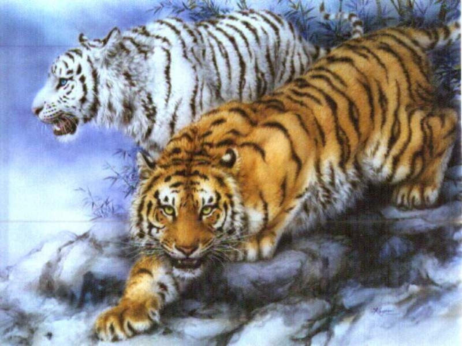 Descarga gratis la imagen Tigres, Animales, Imágenes en el escritorio de tu PC