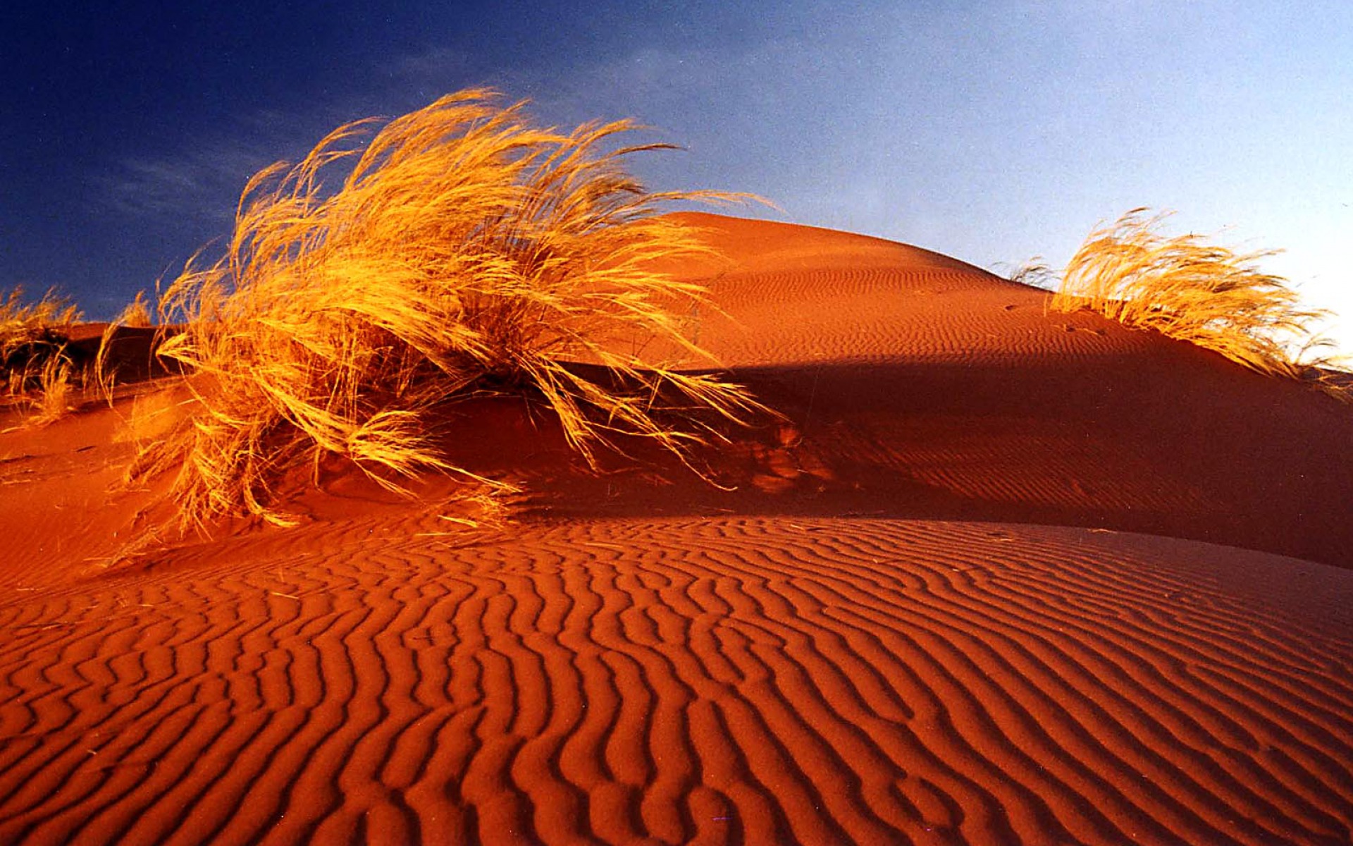 earth, desert, dune, nature, south africa