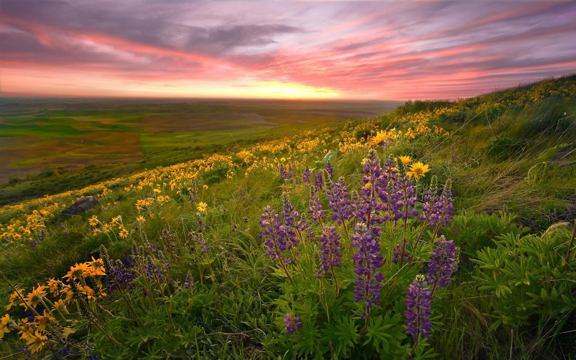 Laden Sie das Landschaft, Sunset, Felder-Bild kostenlos auf Ihren PC-Desktop herunter