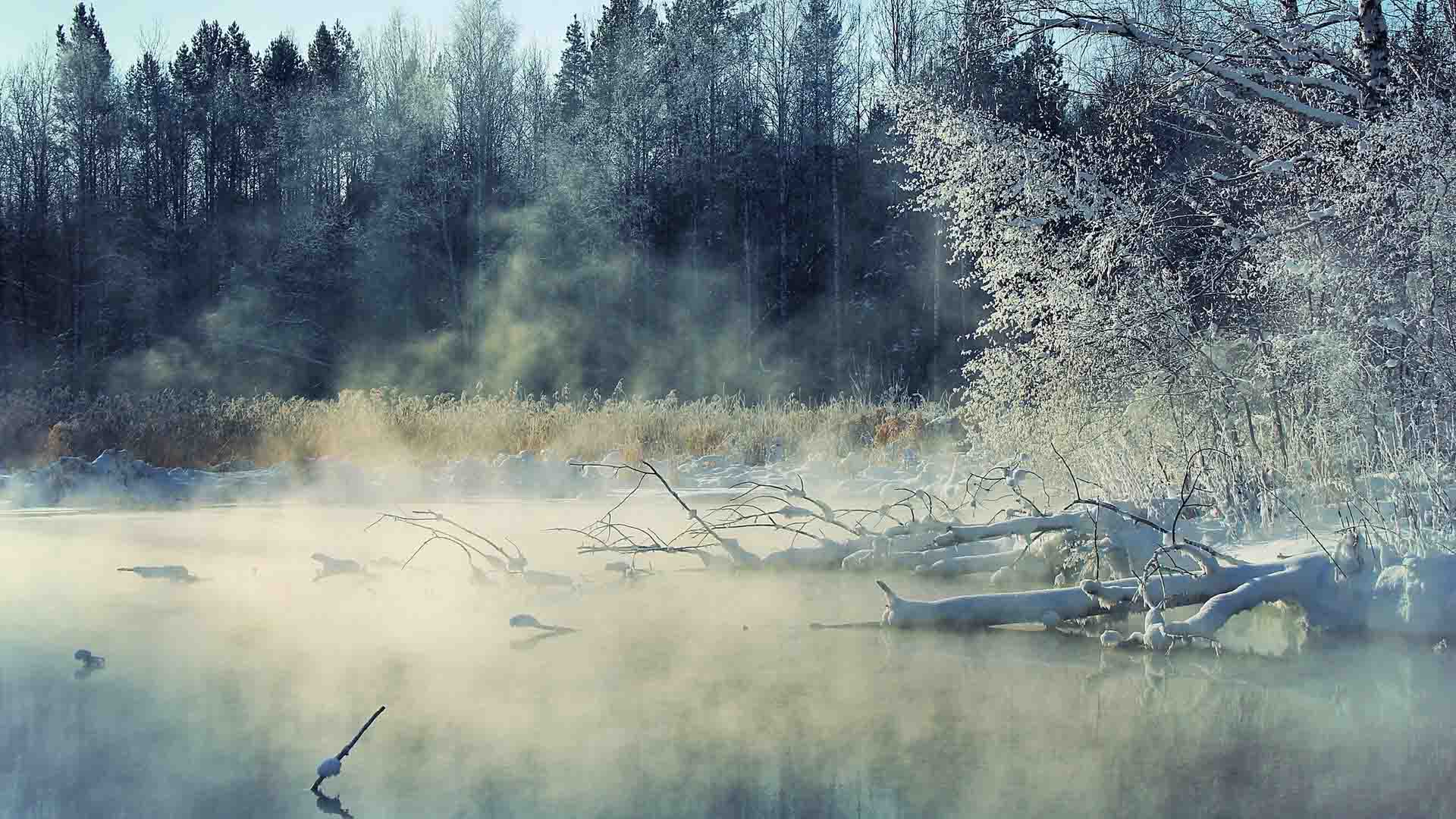 Baixar papel de parede para celular de Terra/natureza, Neblina gratuito.