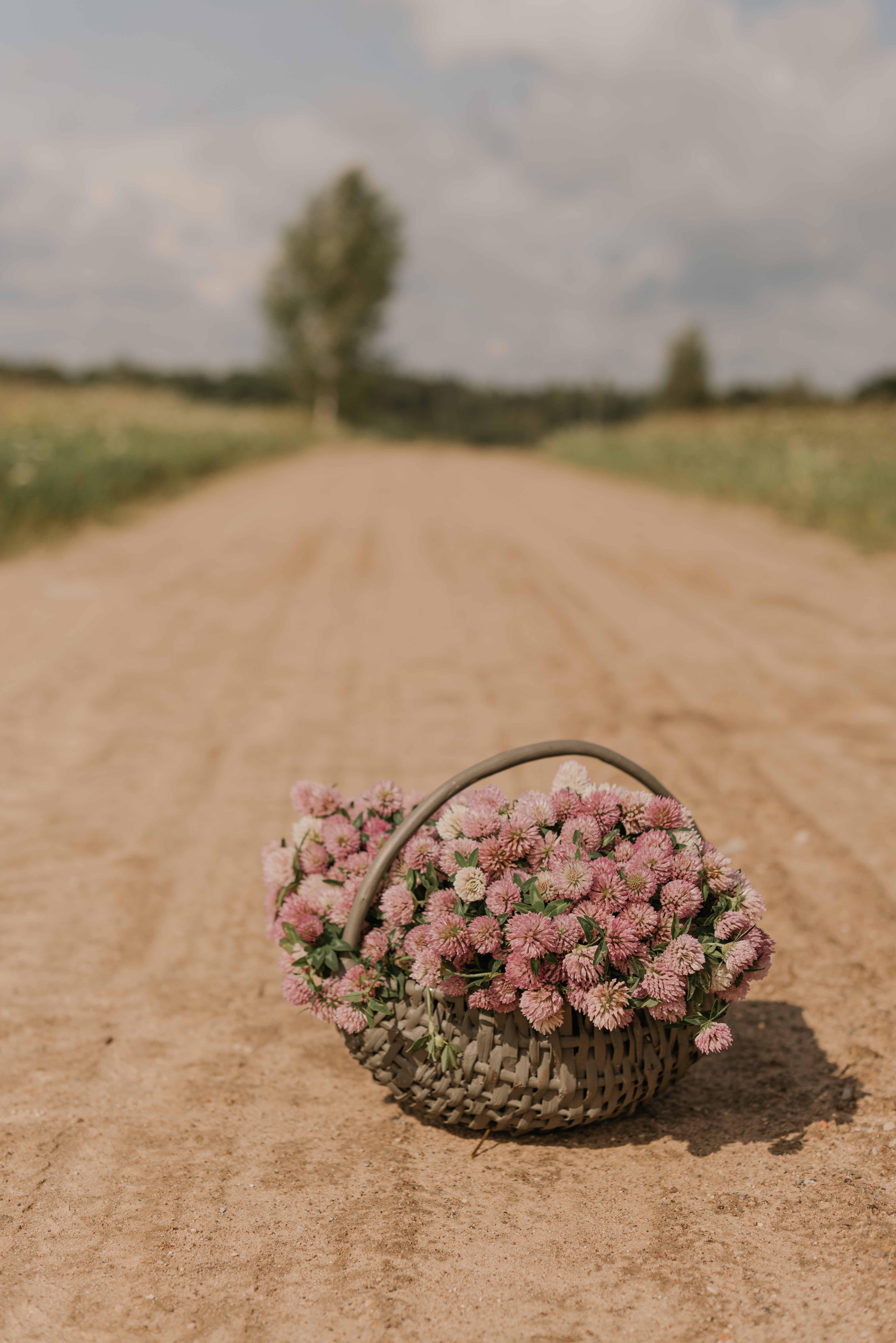 bouquet, basket, flowers, road, clover 2160p