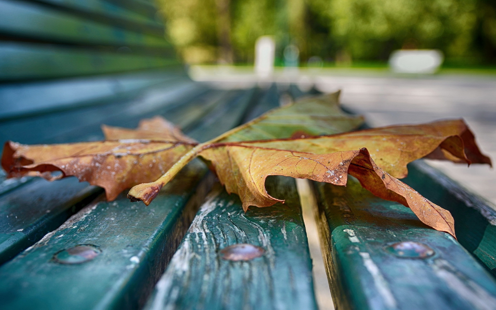Download mobile wallpaper Nature, Leaf, Fall, Earth, Bench, Season for free.