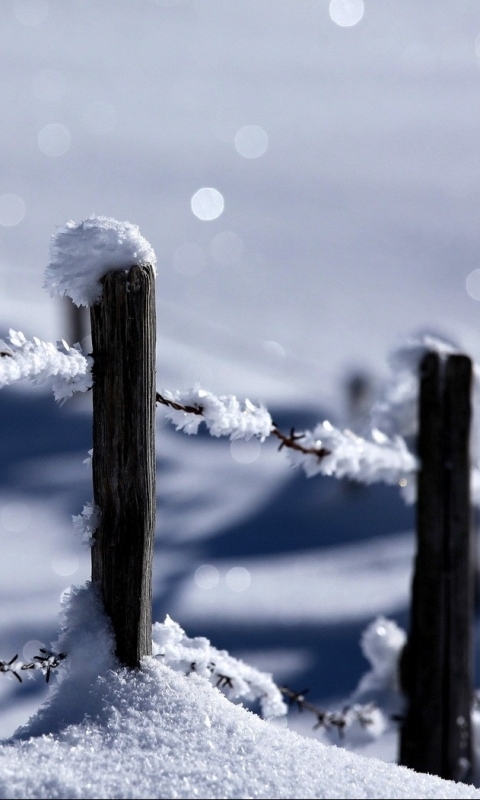 Скачати мобільні шпалери Зима, Сніг, Фотографія, Колючий Дріт, Паркан безкоштовно.