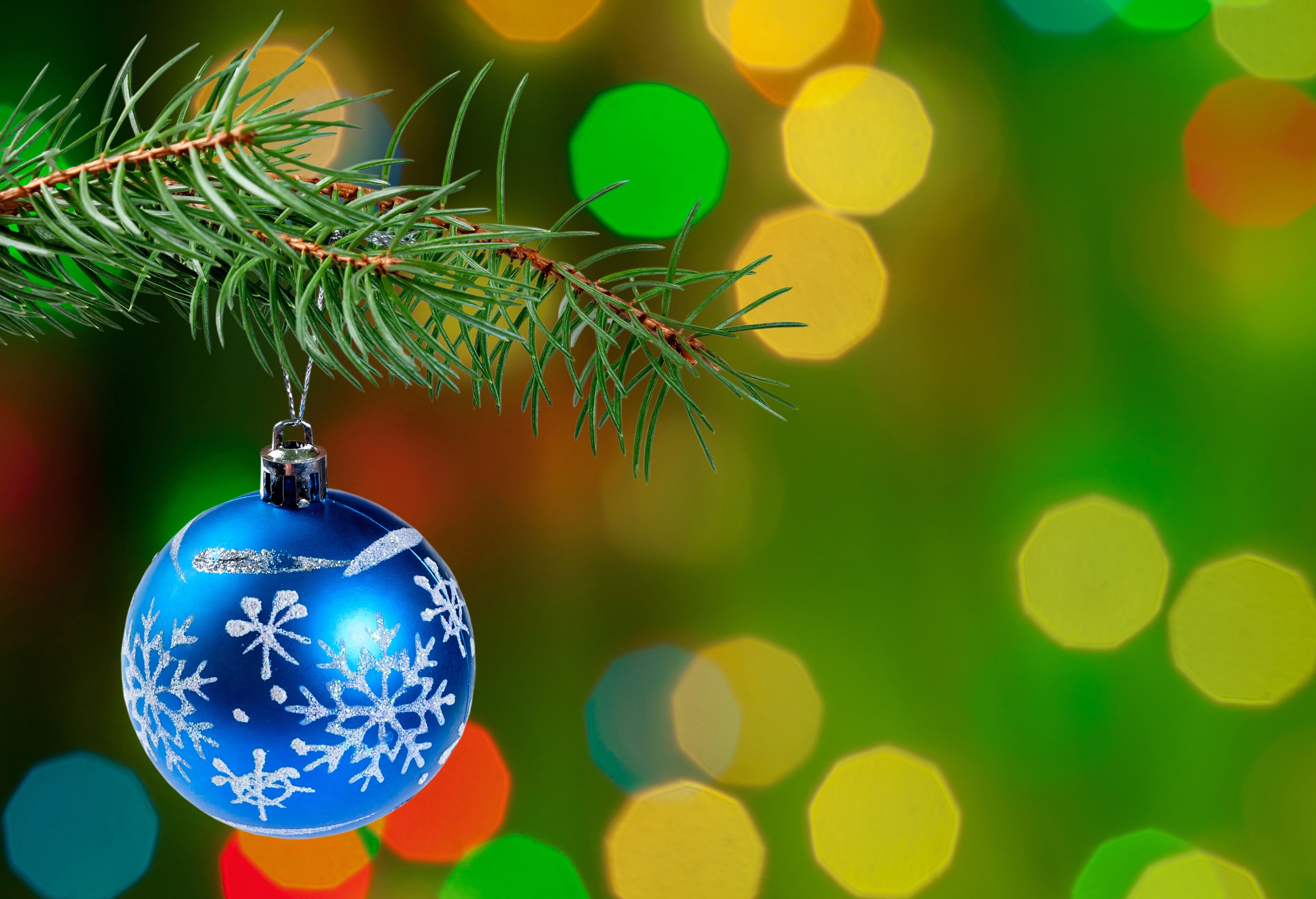 PCデスクトップに新年, 雑, ブランチ, 枝, モミ, 球, クリスマスの飾り, 針の装飾, ボケ, 玉, クリスマスツリー, その他画像を無料でダウンロード