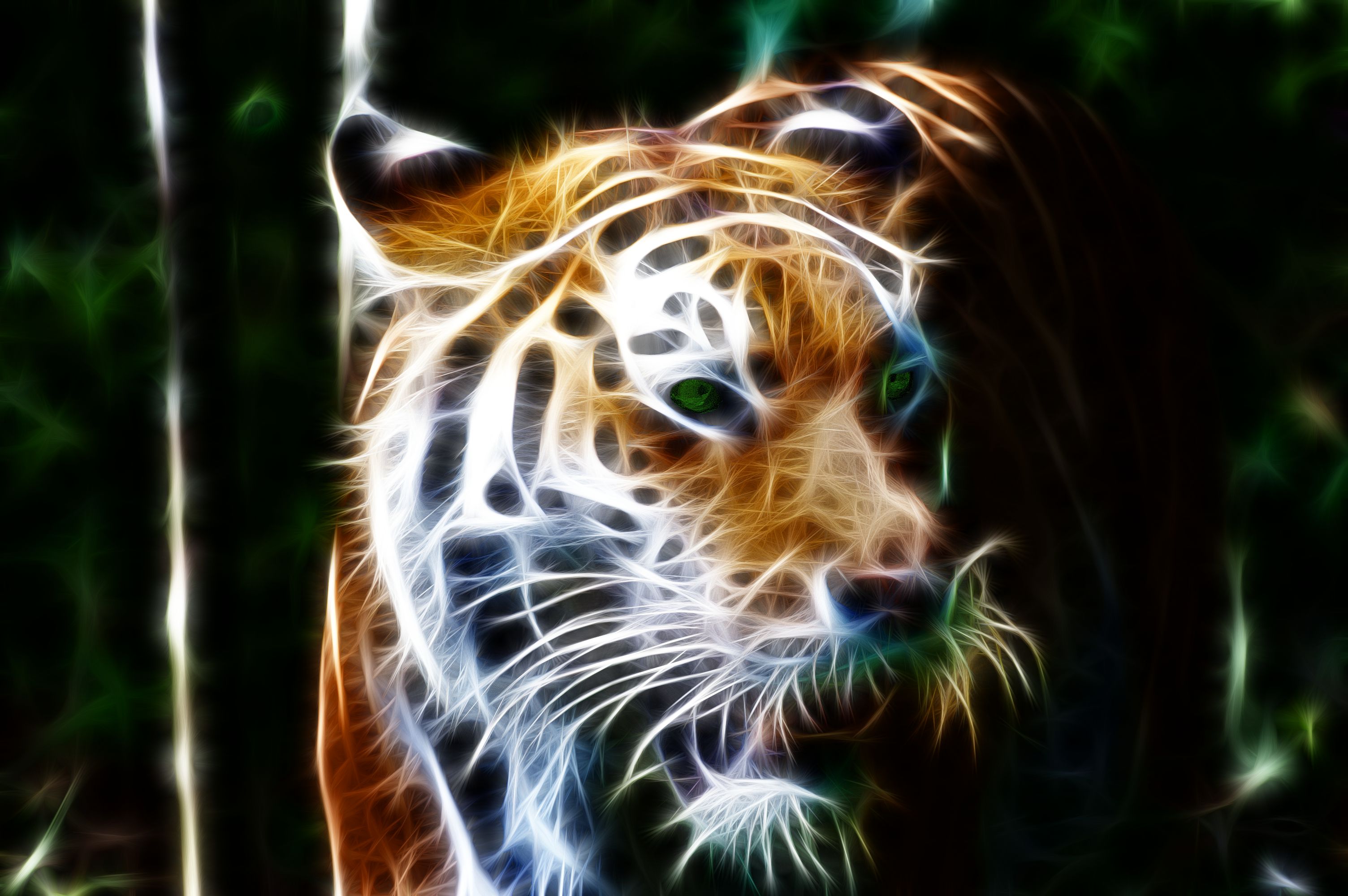 Descarga gratuita de fondo de pantalla para móvil de Animales, Gatos, Tigre.